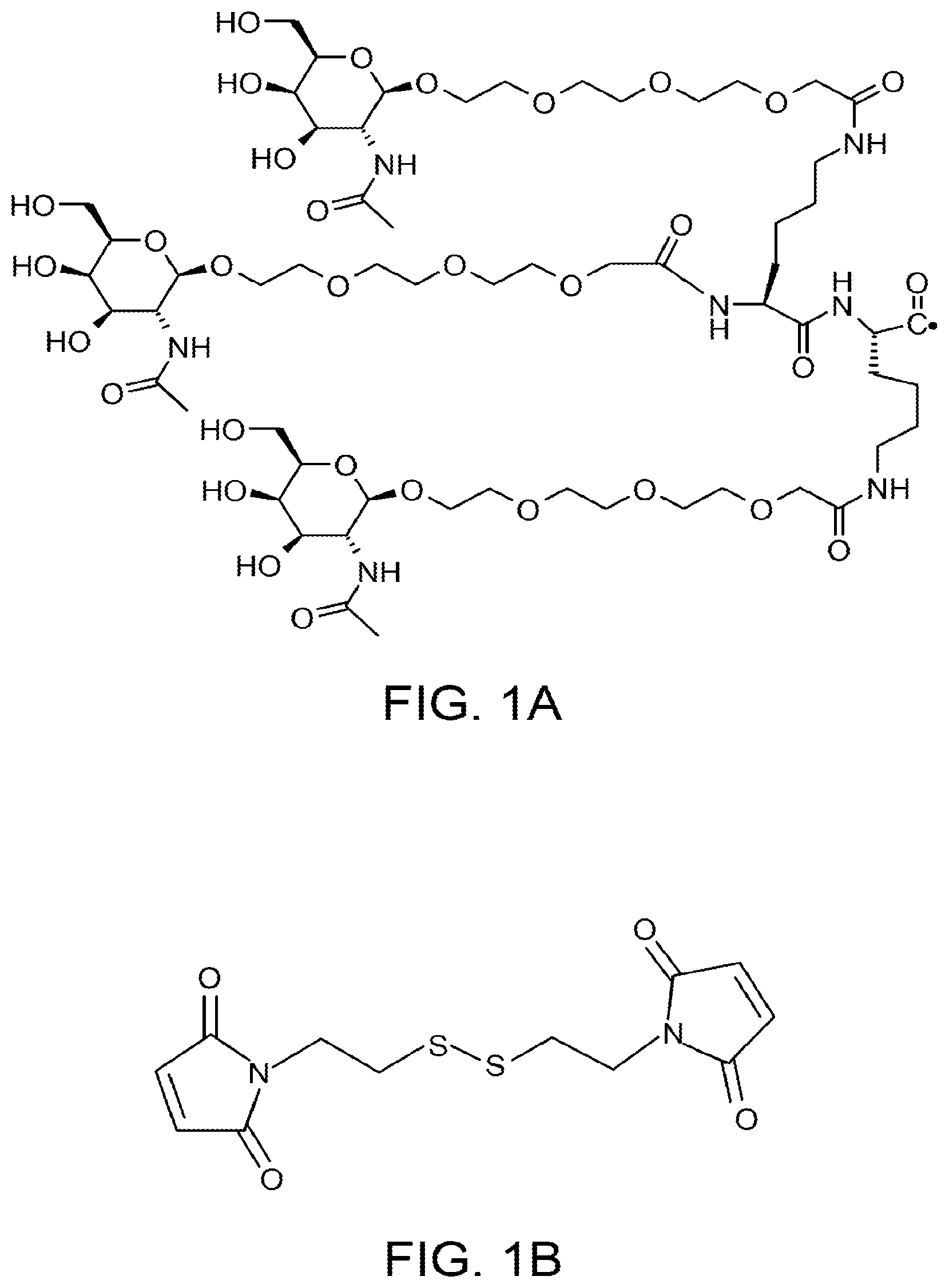Patent US12378551 Figure 1 – Multimeric oligonucleotides having decreased kidney clearance