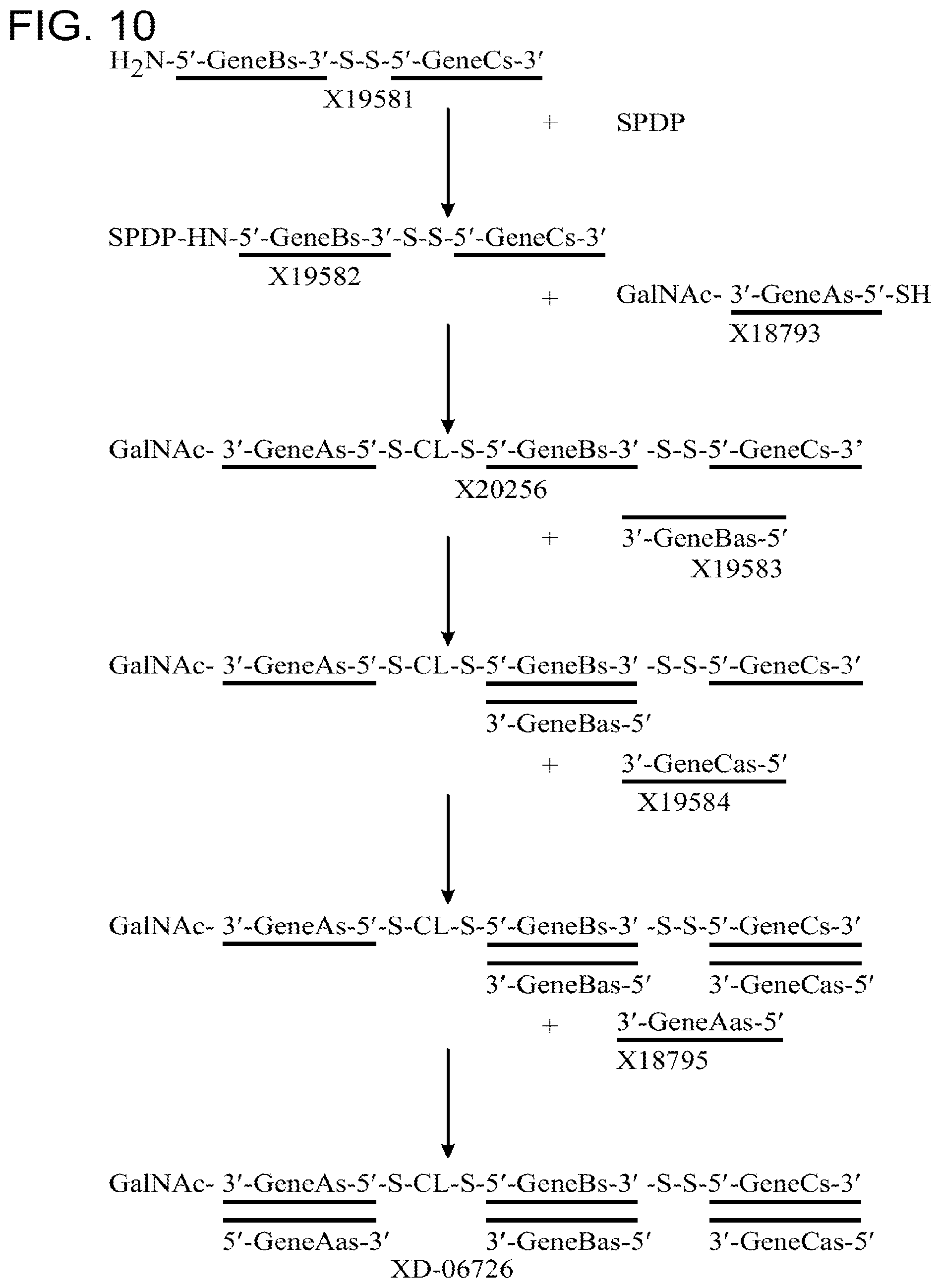Patent US12378551 Figure 8 – Multimeric oligonucleotides having decreased kidney clearance
