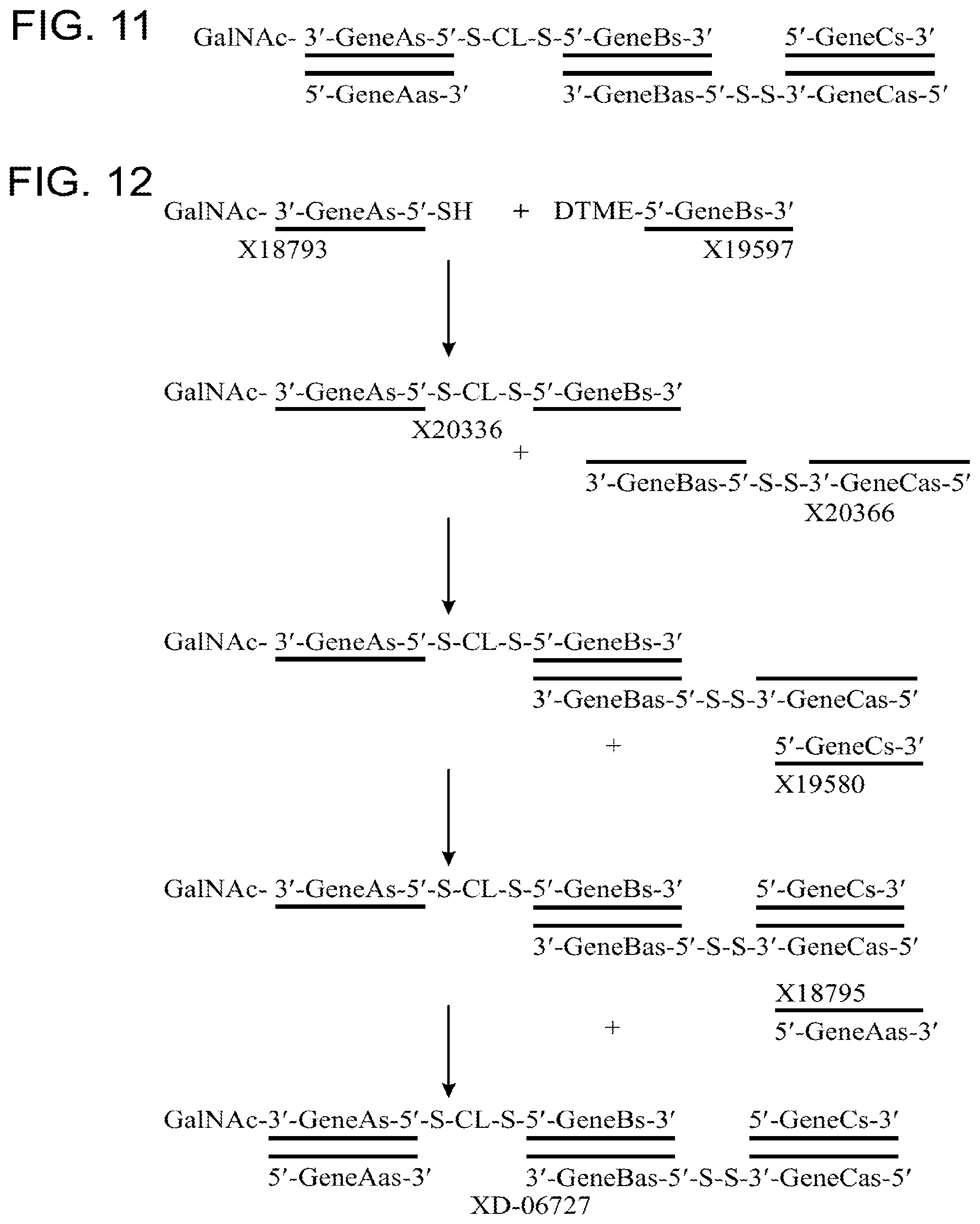 Patent US12378551 Figure 9 – Multimeric oligonucleotides having decreased kidney clearance