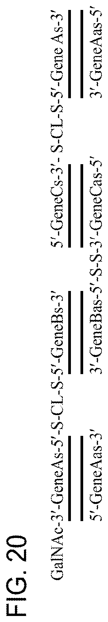 Patent US12378551 Figure 17 – Multimeric oligonucleotides having decreased kidney clearance
