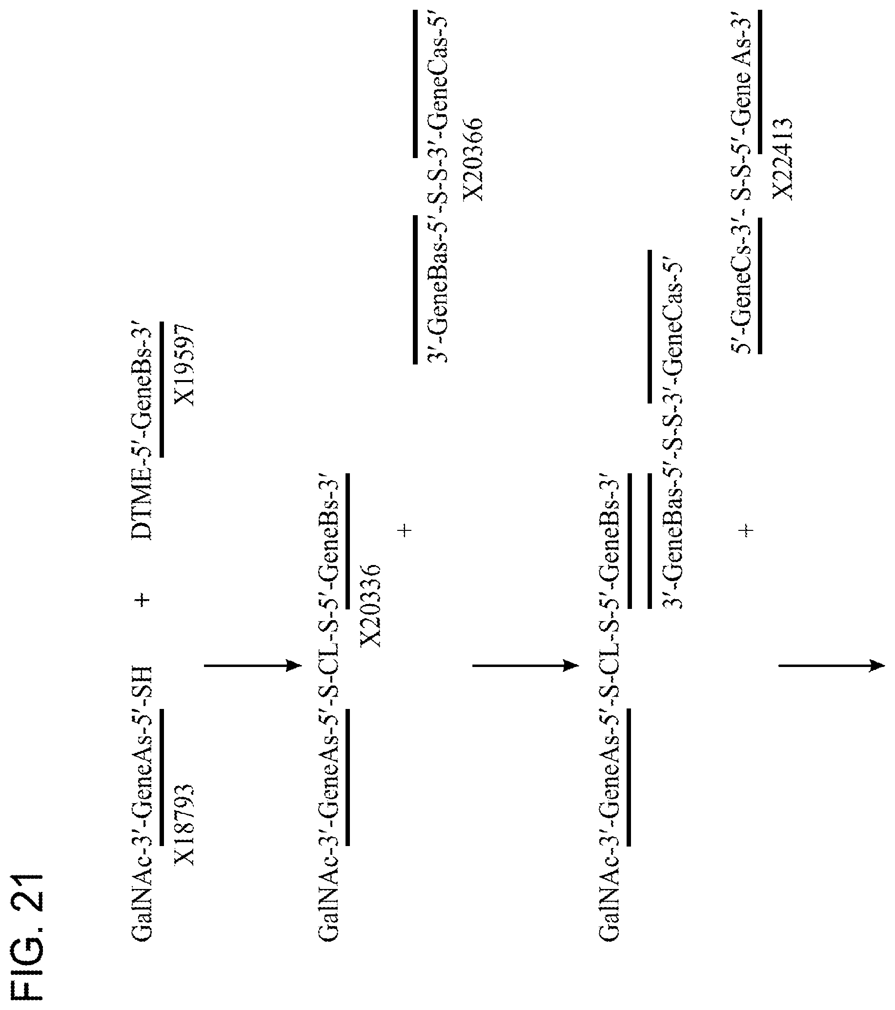 Patent US12378551 Figure 18 – Multimeric oligonucleotides having decreased kidney clearance