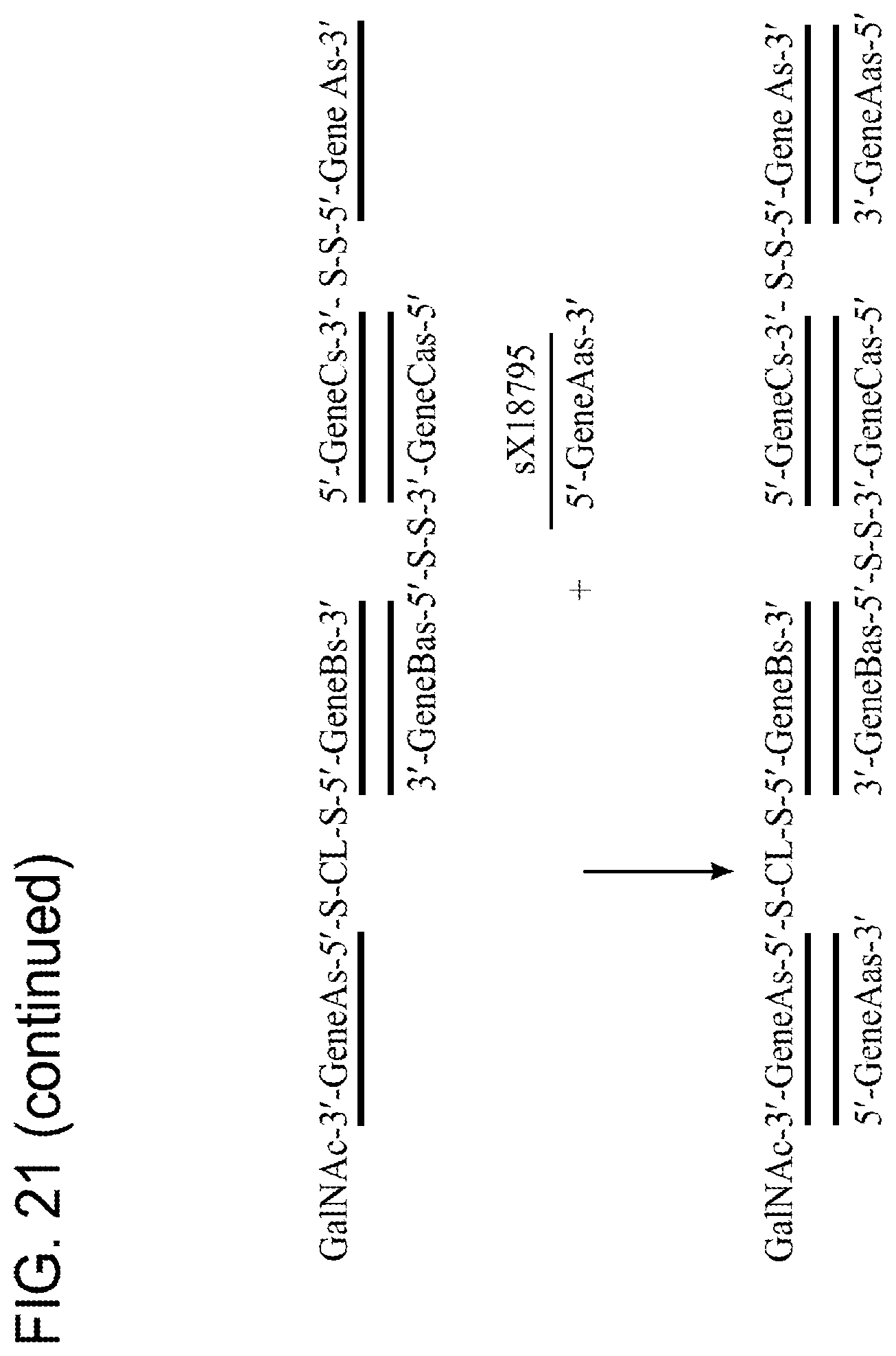 Patent US12378551 Figure 19 – Multimeric oligonucleotides having decreased kidney clearance