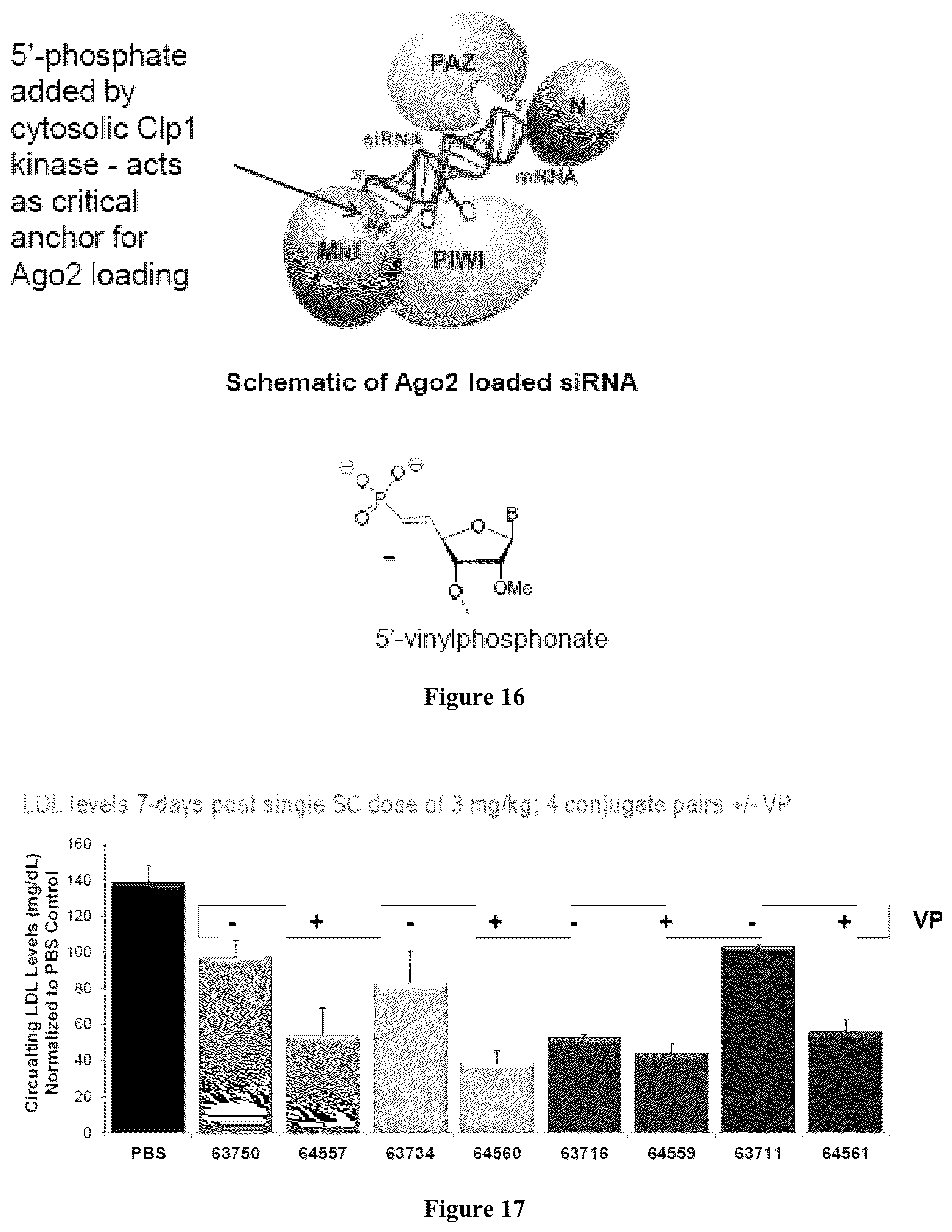Patent US12378553 Figure 9 – Modified double-stranded RNA agents