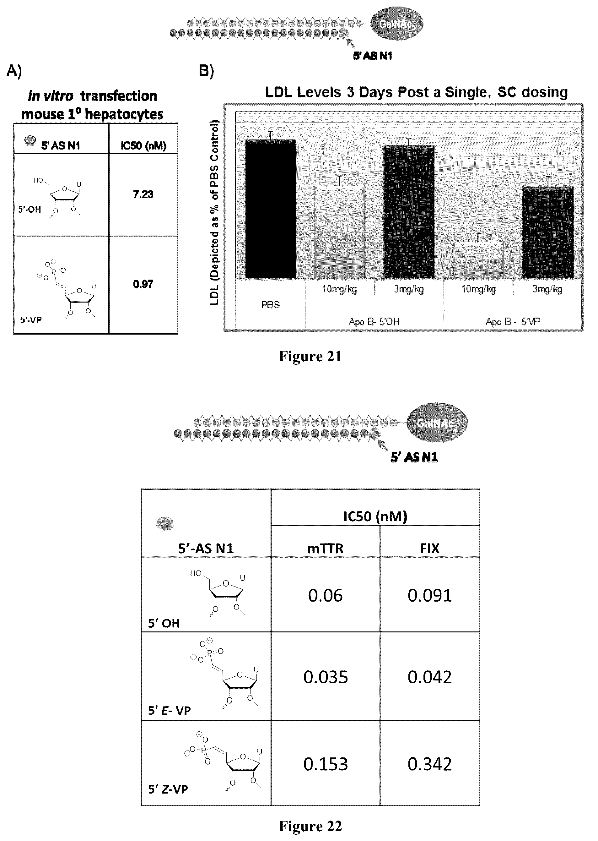 Patent US12378553 Figure 12 – Modified double-stranded RNA agents