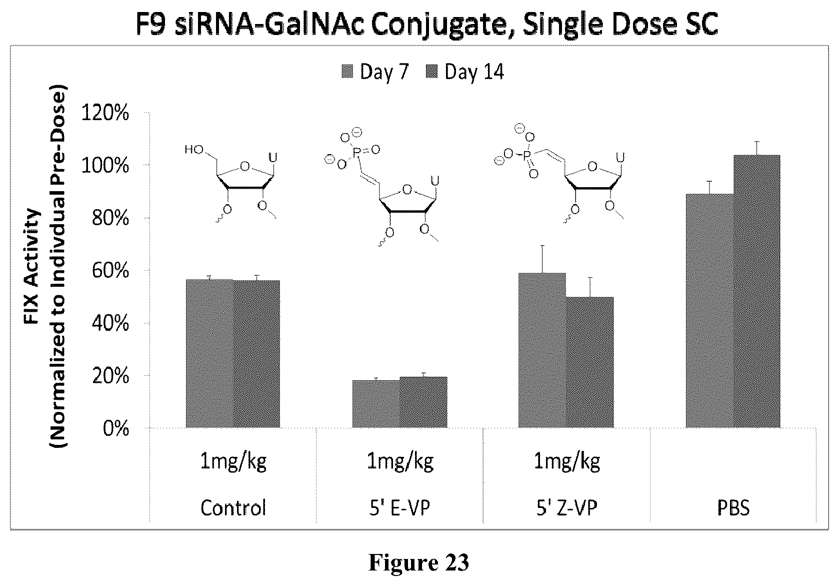 Patent US12378553 Figure 13 – Modified double-stranded RNA agents