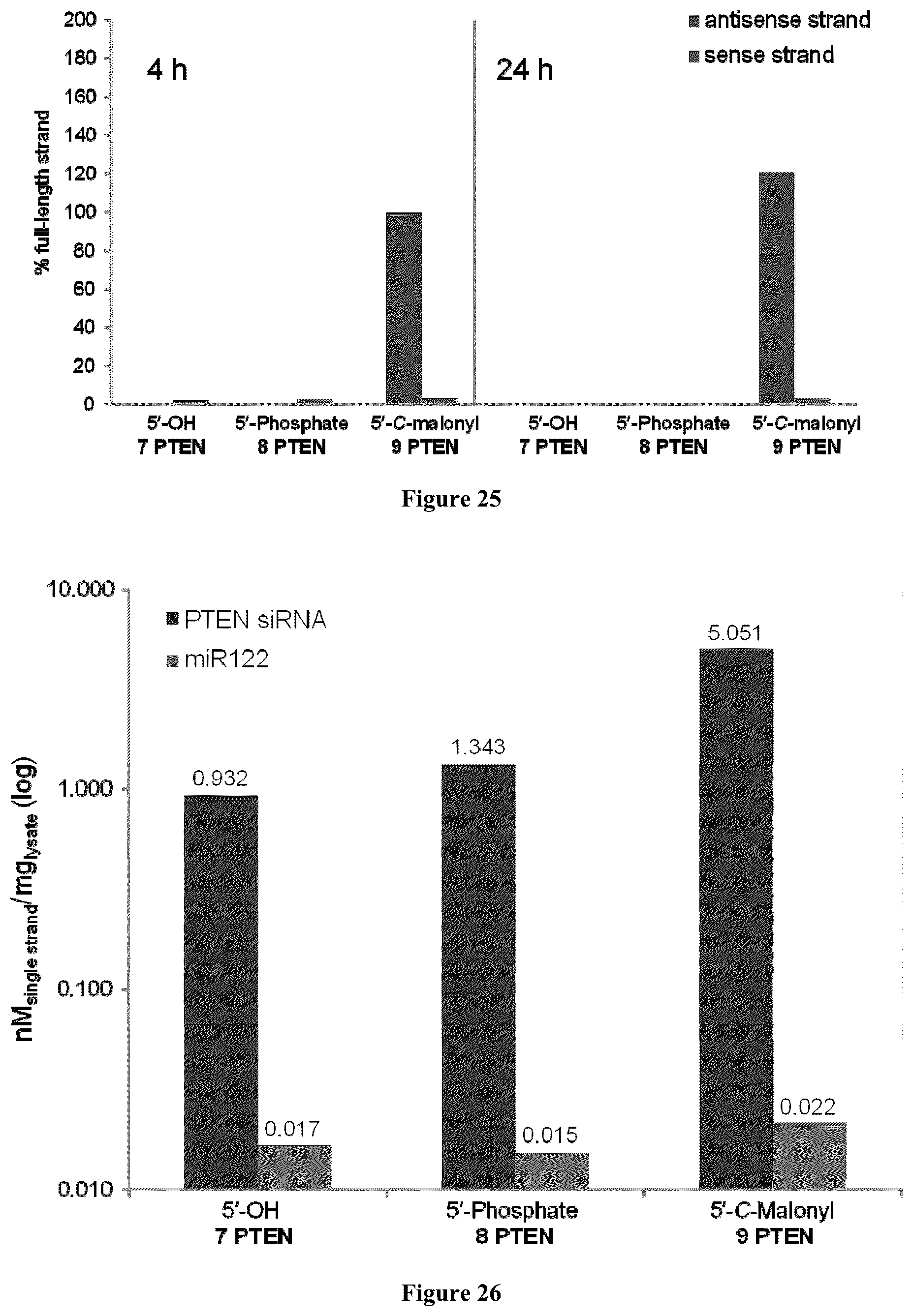 Patent US12378553 Figure 15 – Modified double-stranded RNA agents