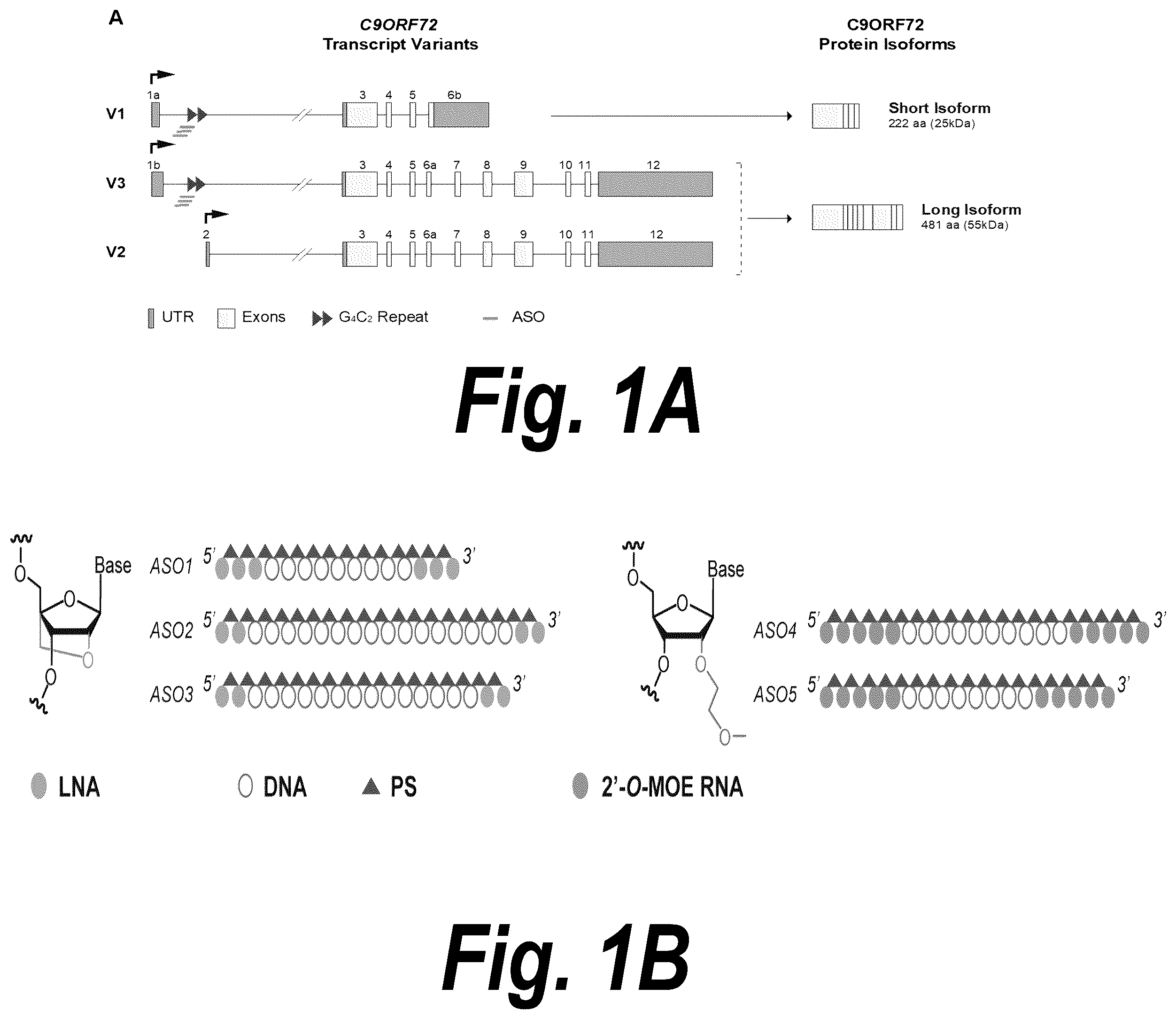 Patent US12378554 Figure 1 – Anti-C9ORF72 oligonucleotides and related methods