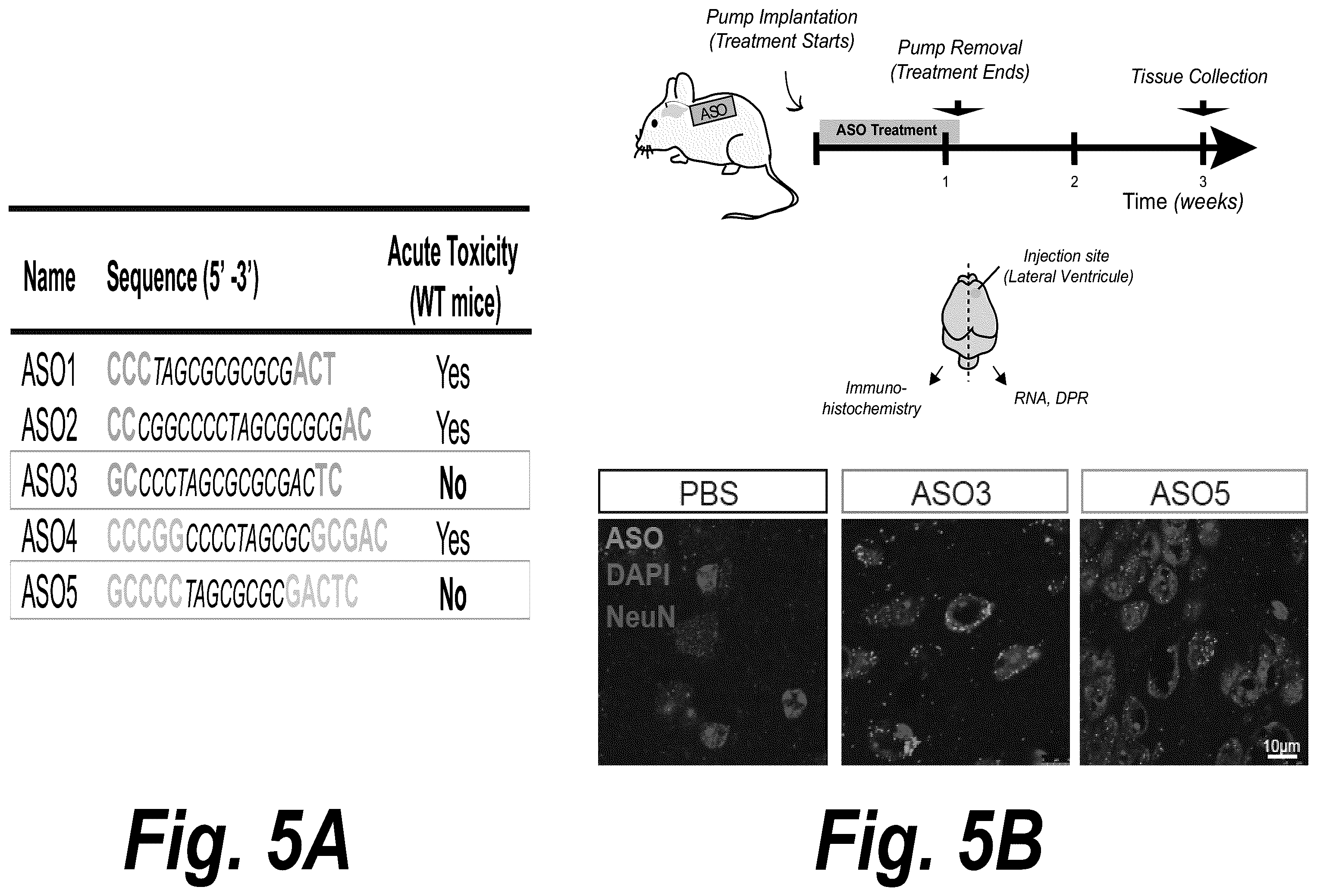 Patent US12378554 Figure 5 – Anti-C9ORF72 oligonucleotides and related methods