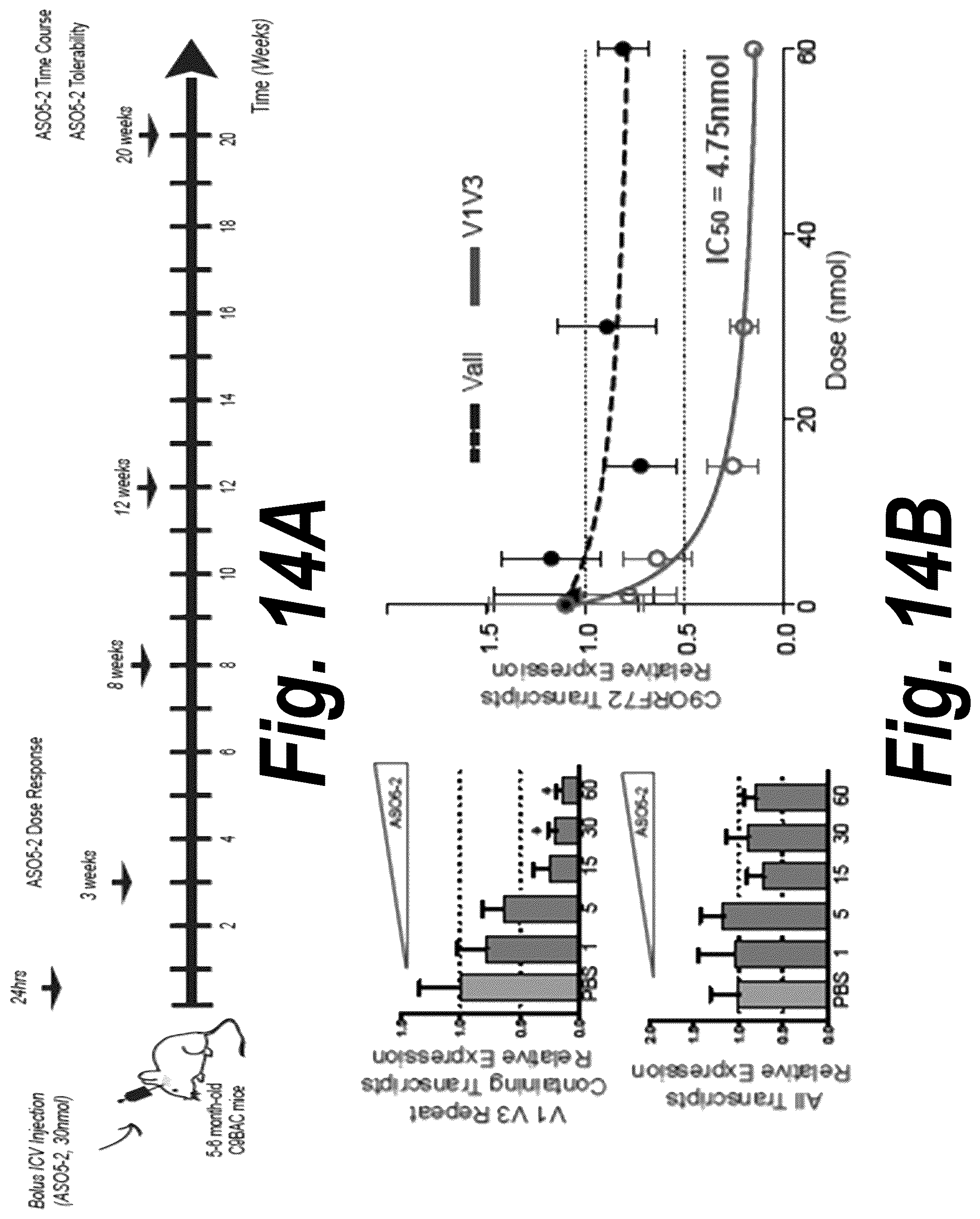 Patent US12378554 Figure 14 – Anti-C9ORF72 oligonucleotides and related methods