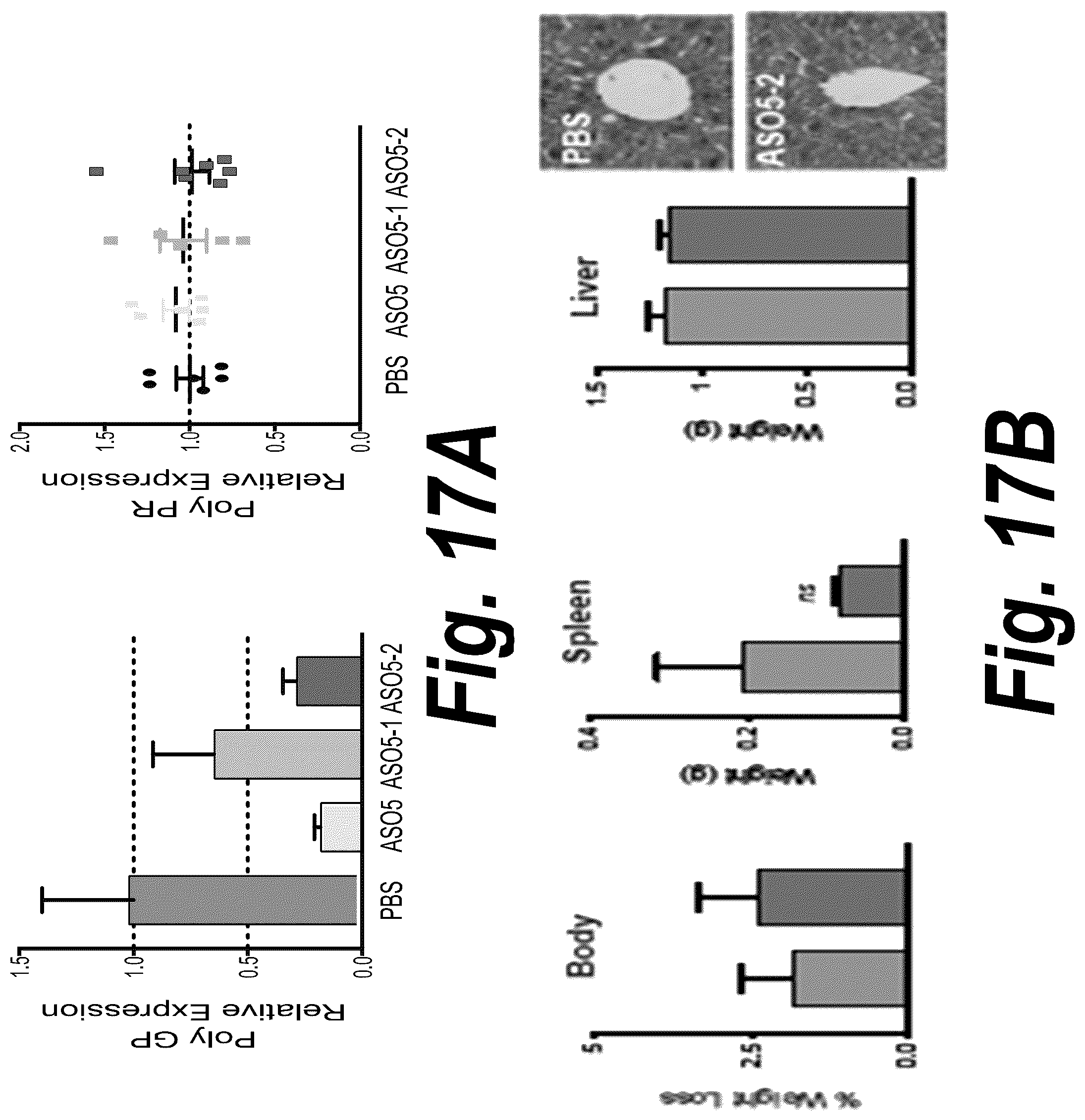 Patent US12378554 Figure 17 – Anti-C9ORF72 oligonucleotides and related methods