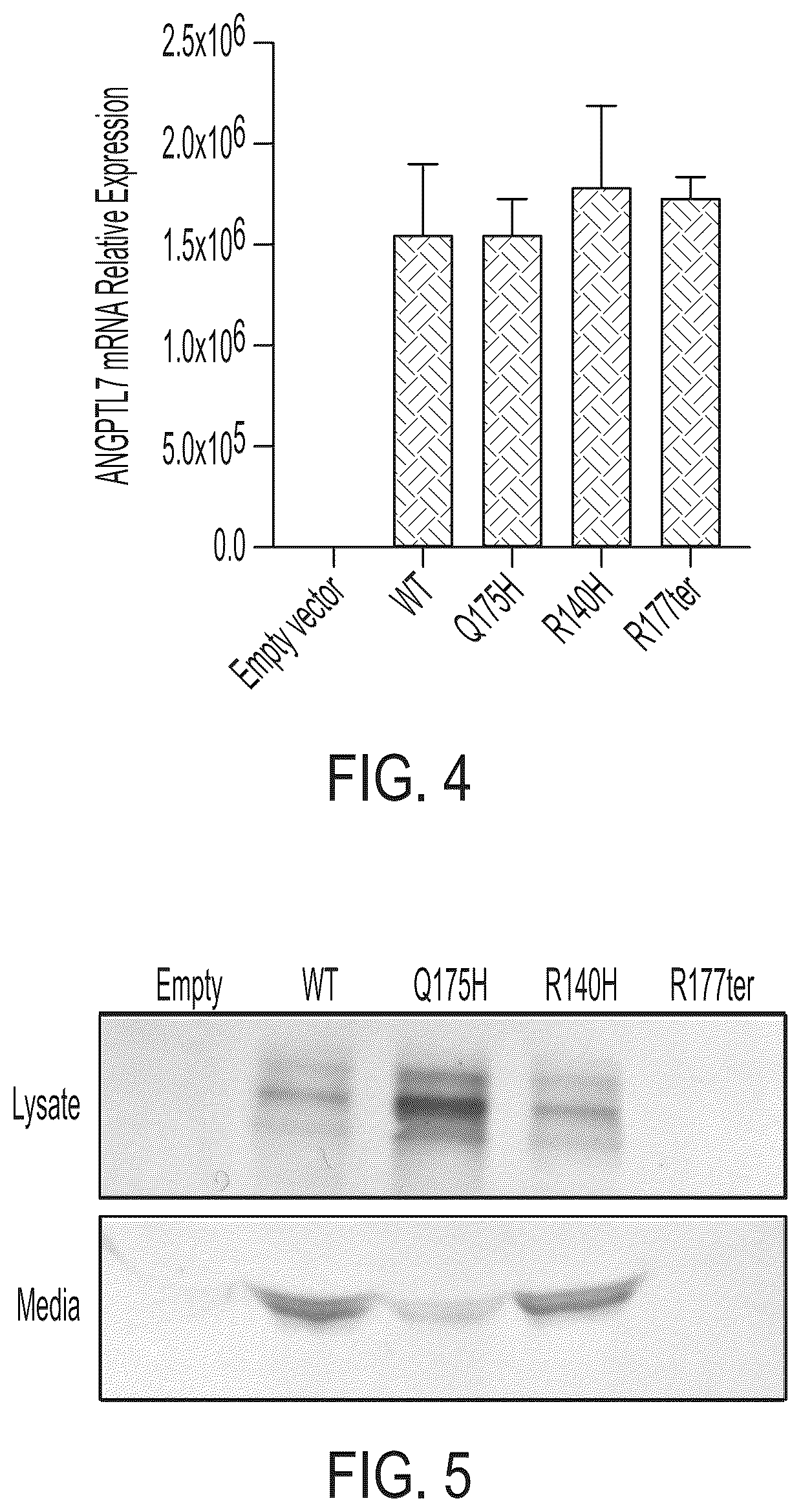 Patent US12378556 Figure 7 – Treatment of angiopoietin like 7 (ANGPTL7) related diseases