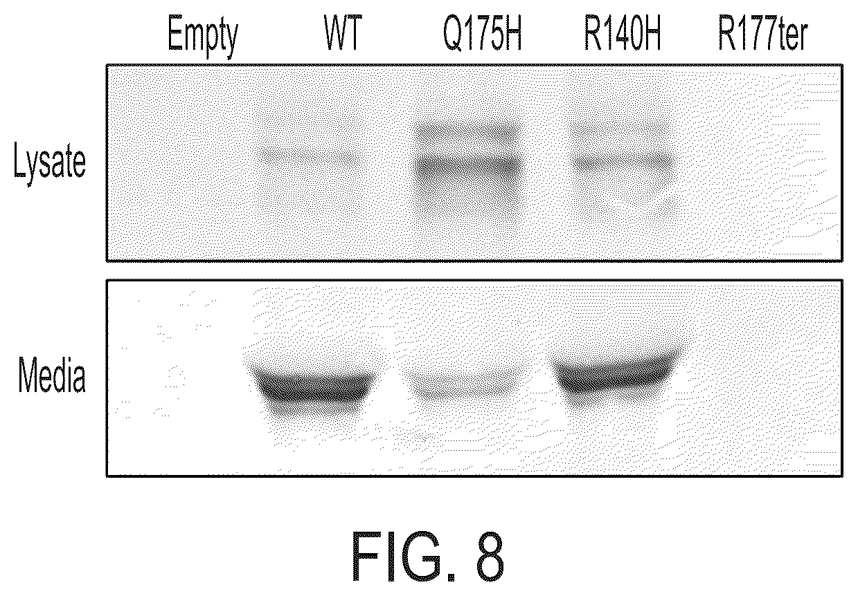 Patent US12378556 Figure 9 – Treatment of angiopoietin like 7 (ANGPTL7) related diseases