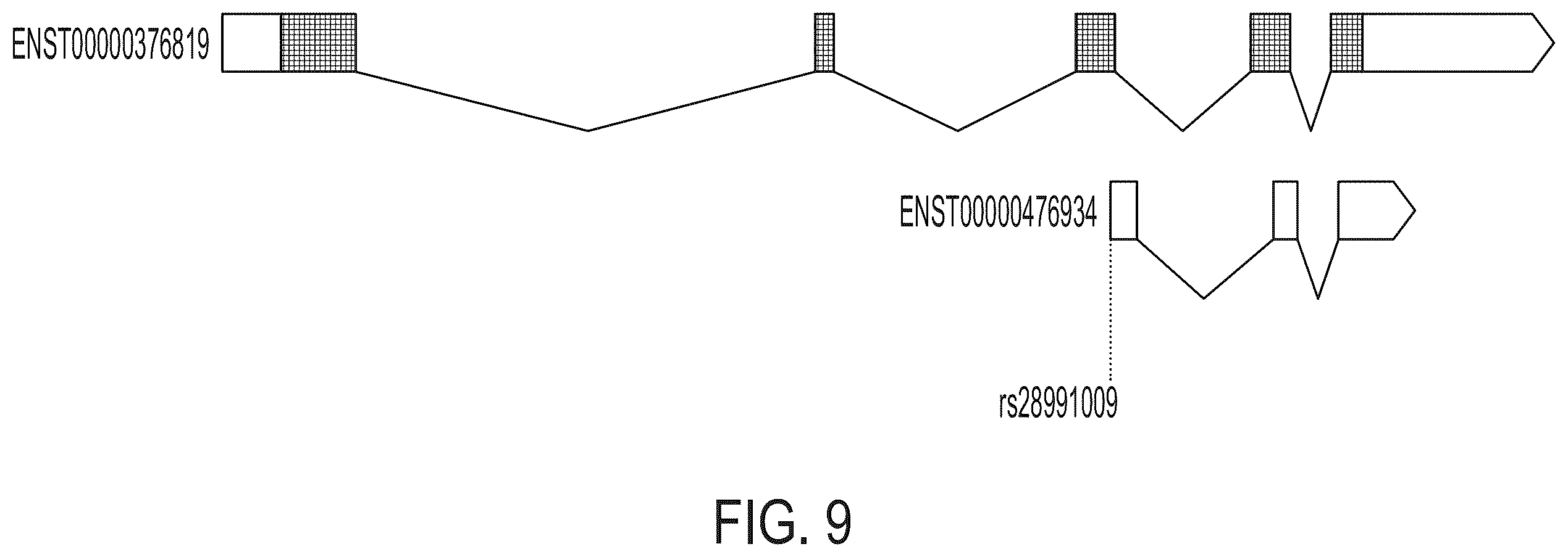 Patent US12378556 Figure 10 – Treatment of angiopoietin like 7 (ANGPTL7) related diseases