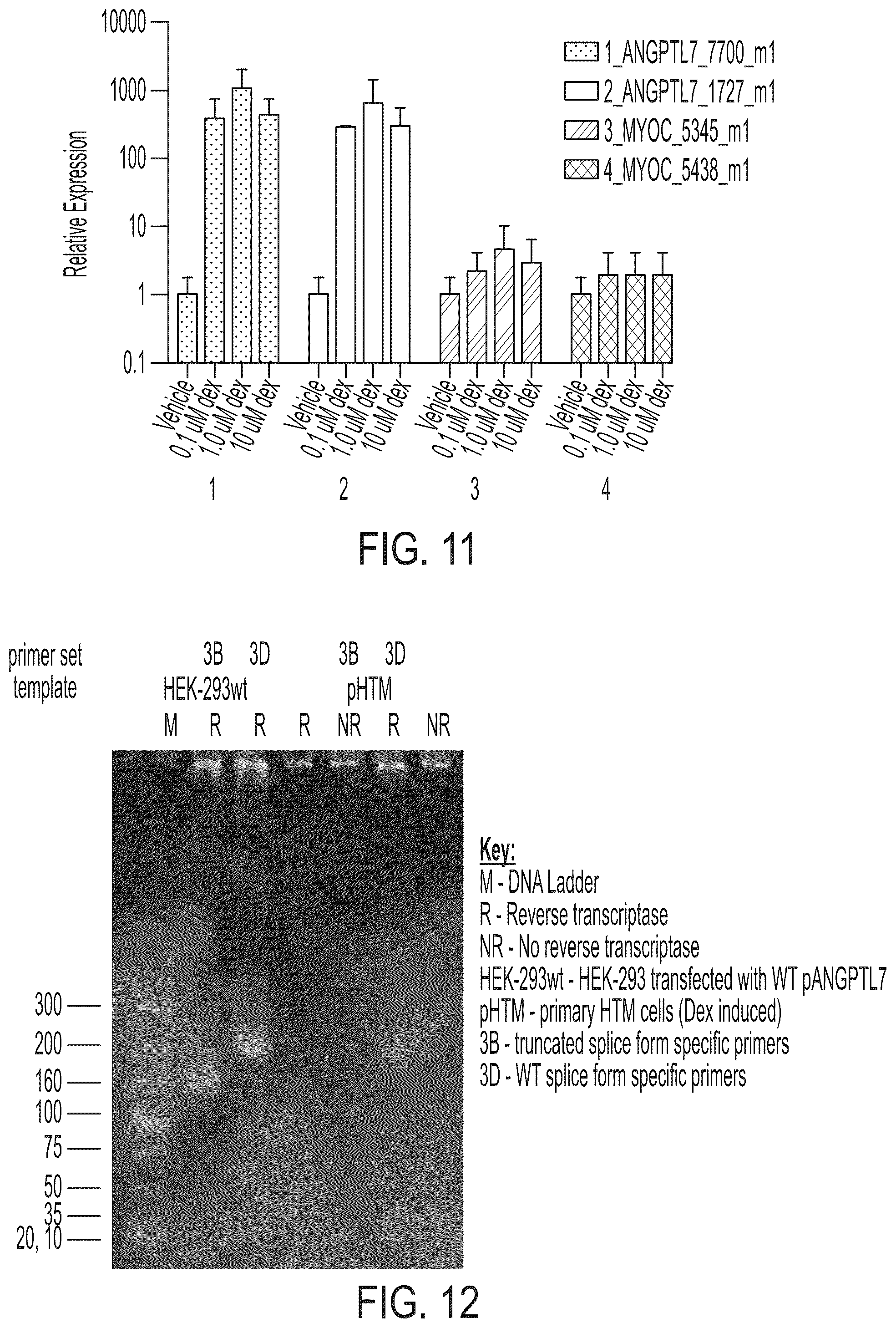 Patent US12378556 Figure 12 – Treatment of angiopoietin like 7 (ANGPTL7) related diseases