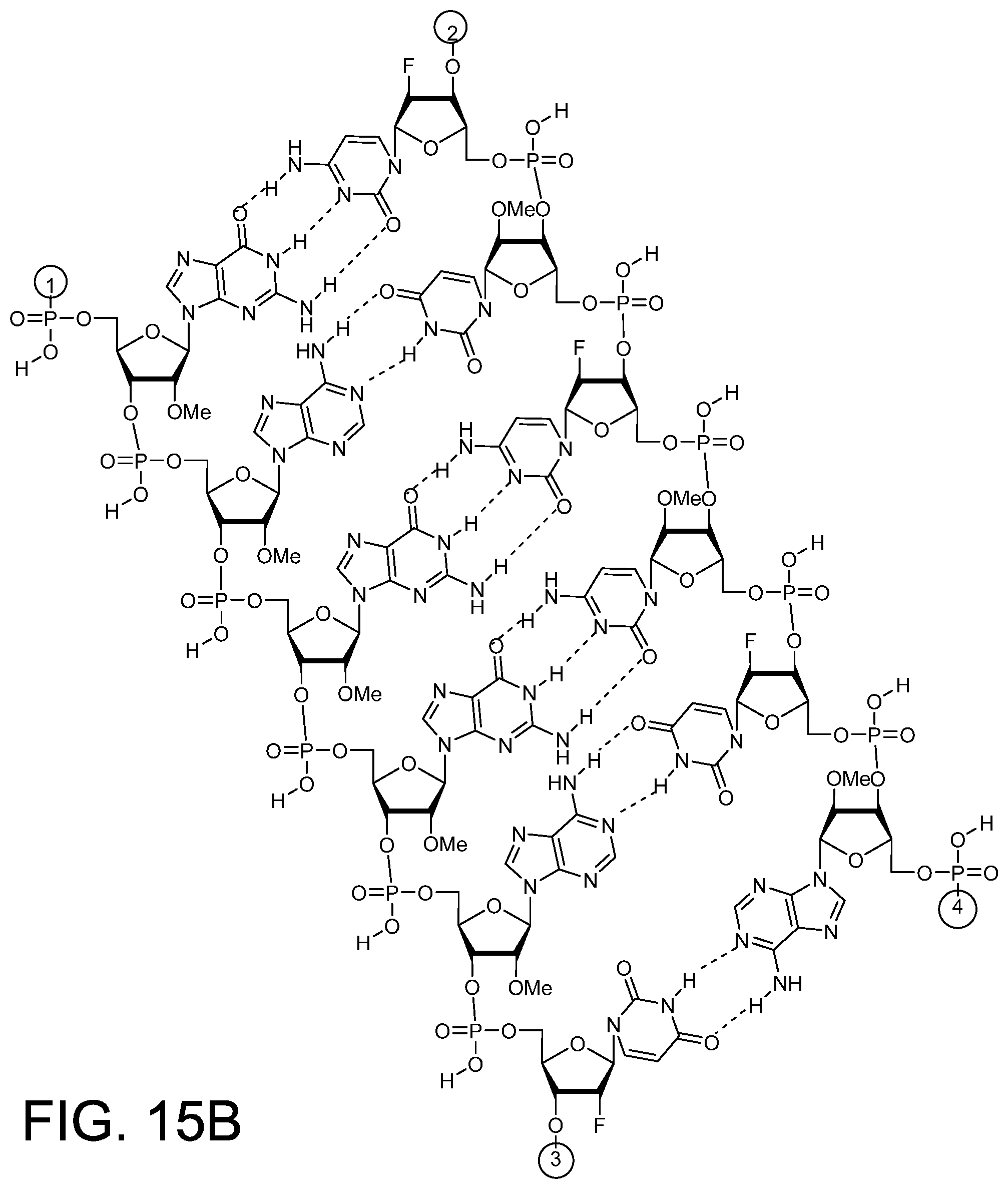 Patent US12378558 Figure 9 – RNAi agents for inhibiting expression of complement factor B (CFB), pharmaceutical compositions thereof, and methods of use