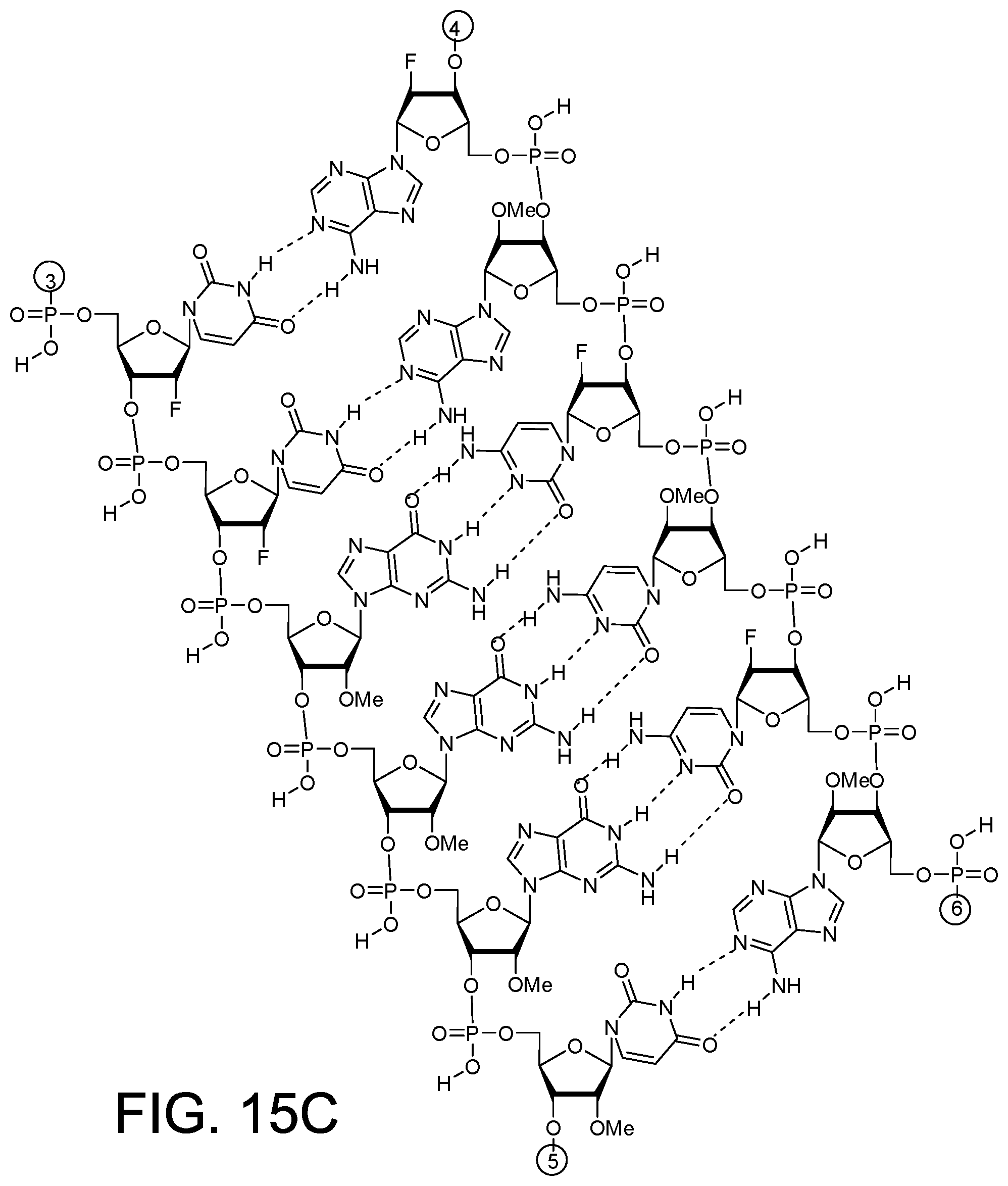 Patent US12378558 Figure 10 – RNAi agents for inhibiting expression of complement factor B (CFB), pharmaceutical compositions thereof, and methods of use