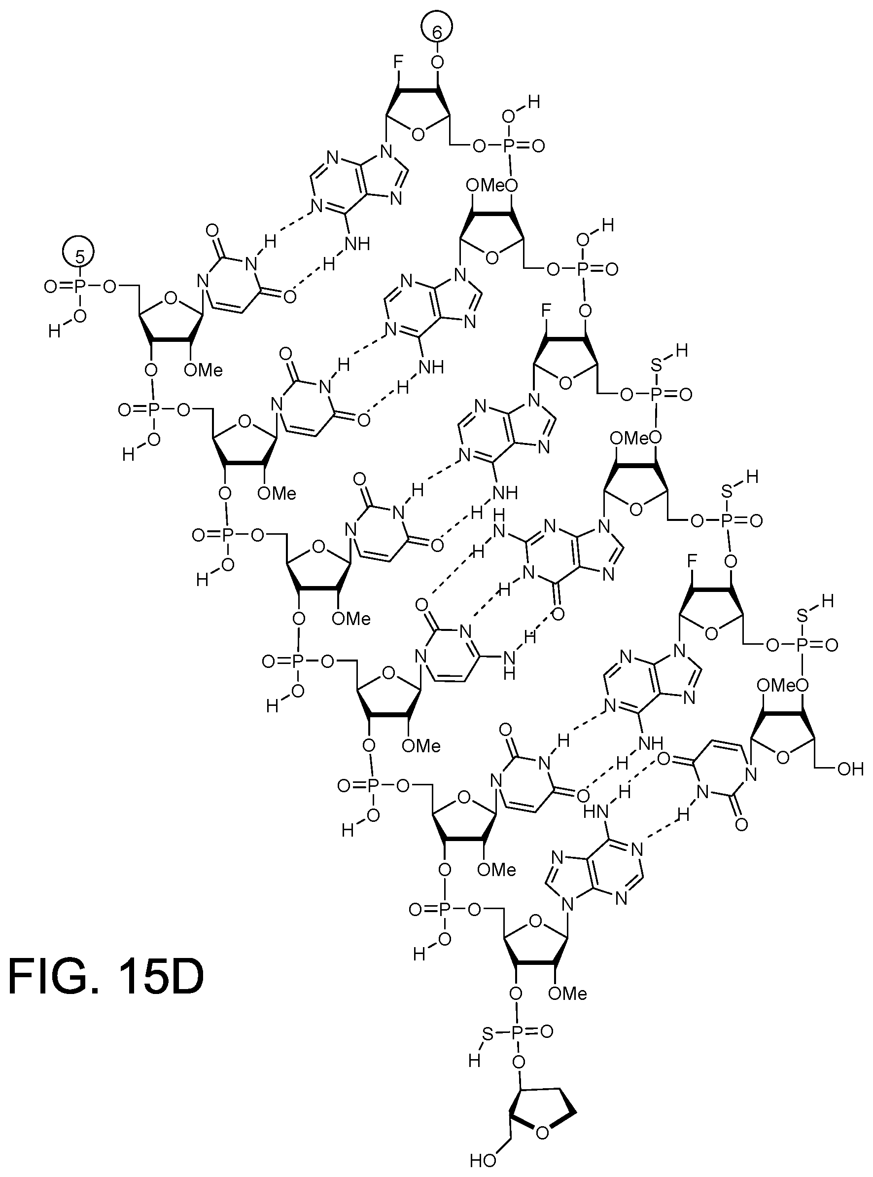 Patent US12378558 Figure 11 – RNAi agents for inhibiting expression of complement factor B (CFB), pharmaceutical compositions thereof, and methods of use