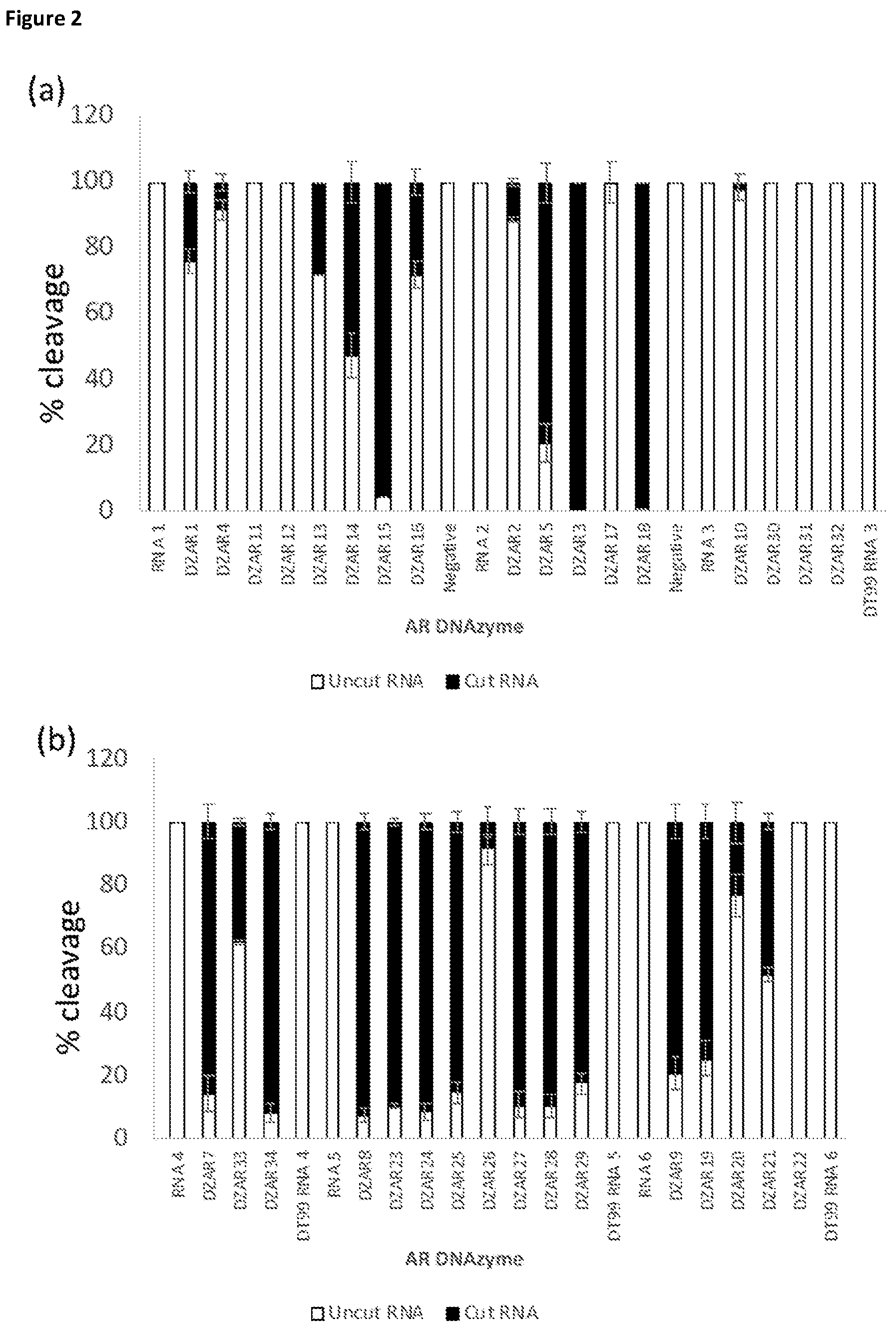 Patent US12378559 Figure 2 – Enzymatic nucleic acid molecules