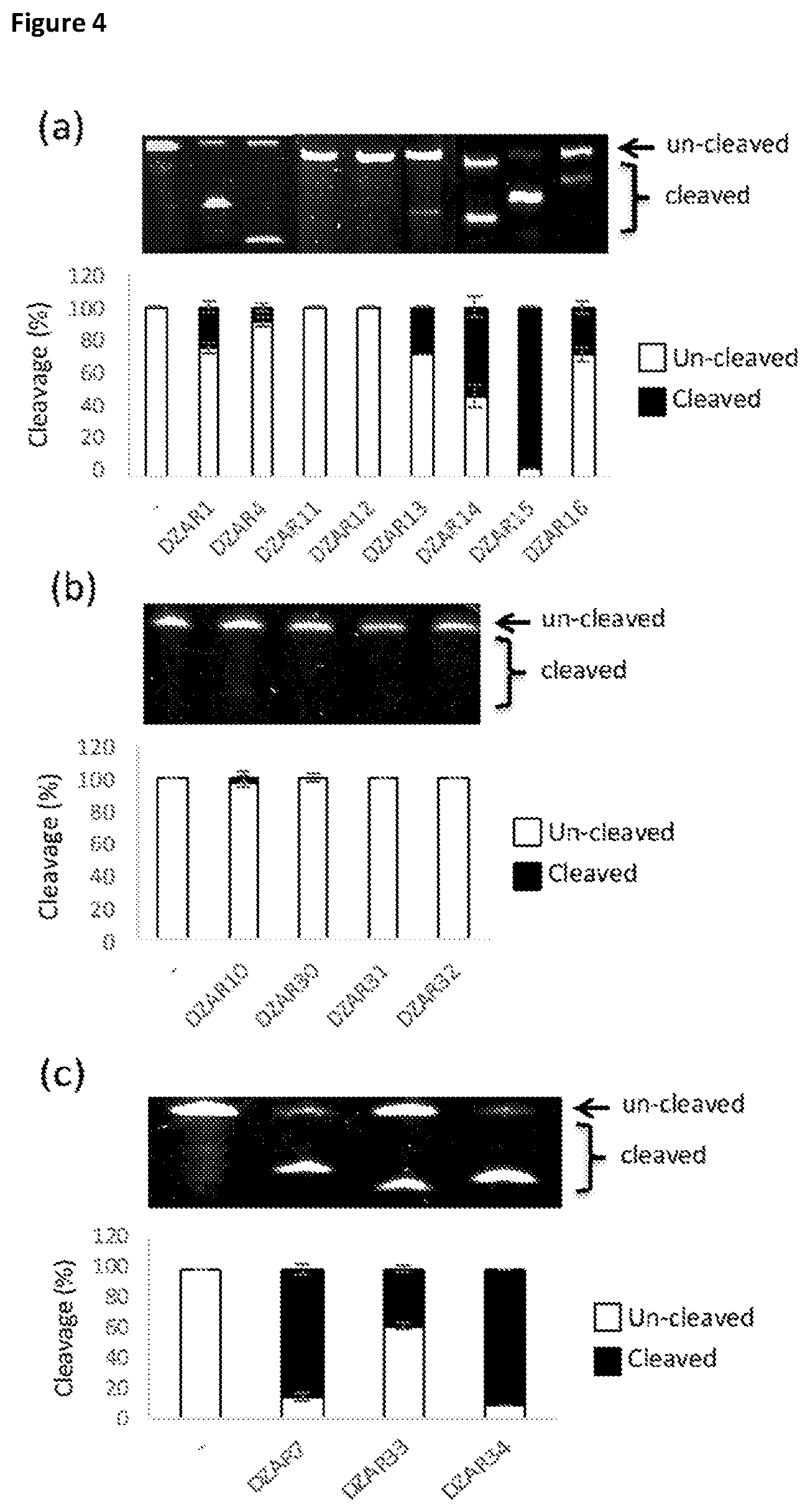 Patent US12378559 Figure 4 – Enzymatic nucleic acid molecules