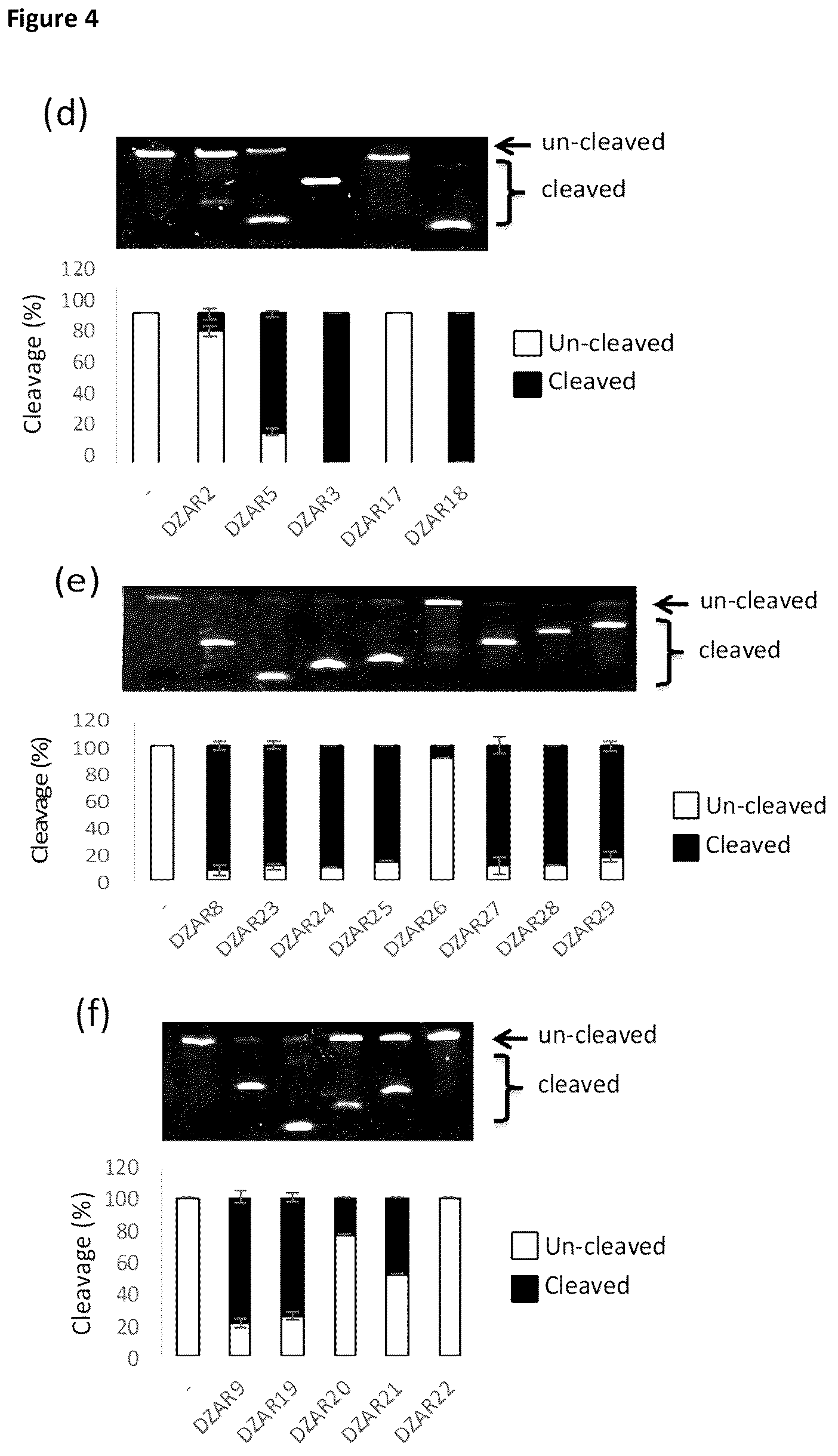 Patent US12378559 Figure 5 – Enzymatic nucleic acid molecules