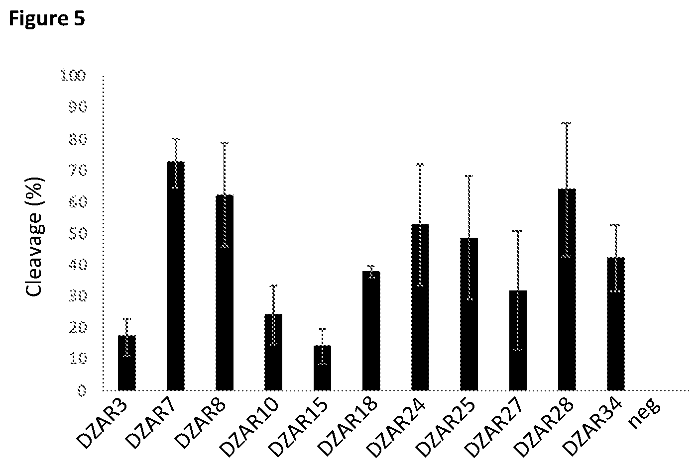 Patent US12378559 Figure 6 – Enzymatic nucleic acid molecules