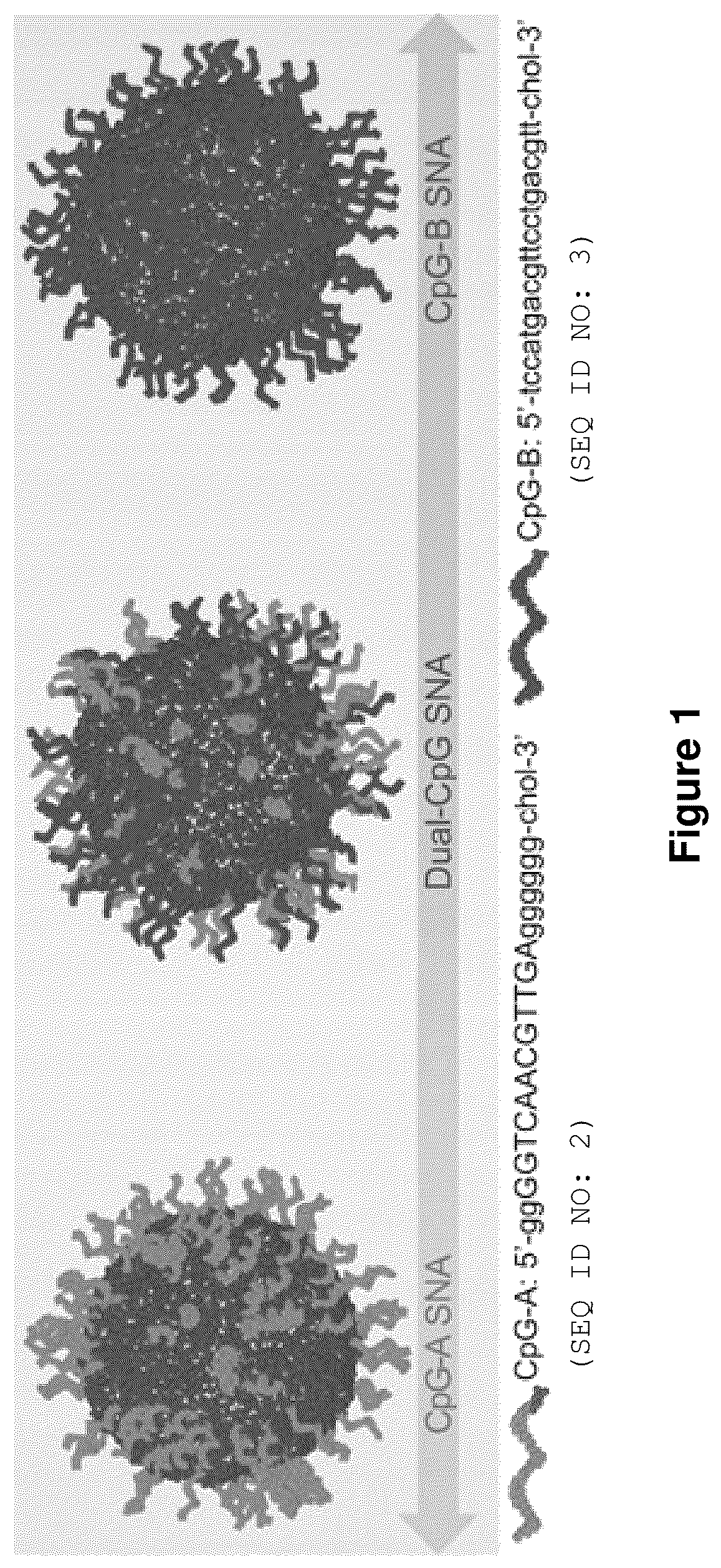 Patent US12378560 Figure 1 – Sequence multiplicity within spherical nucleic acids