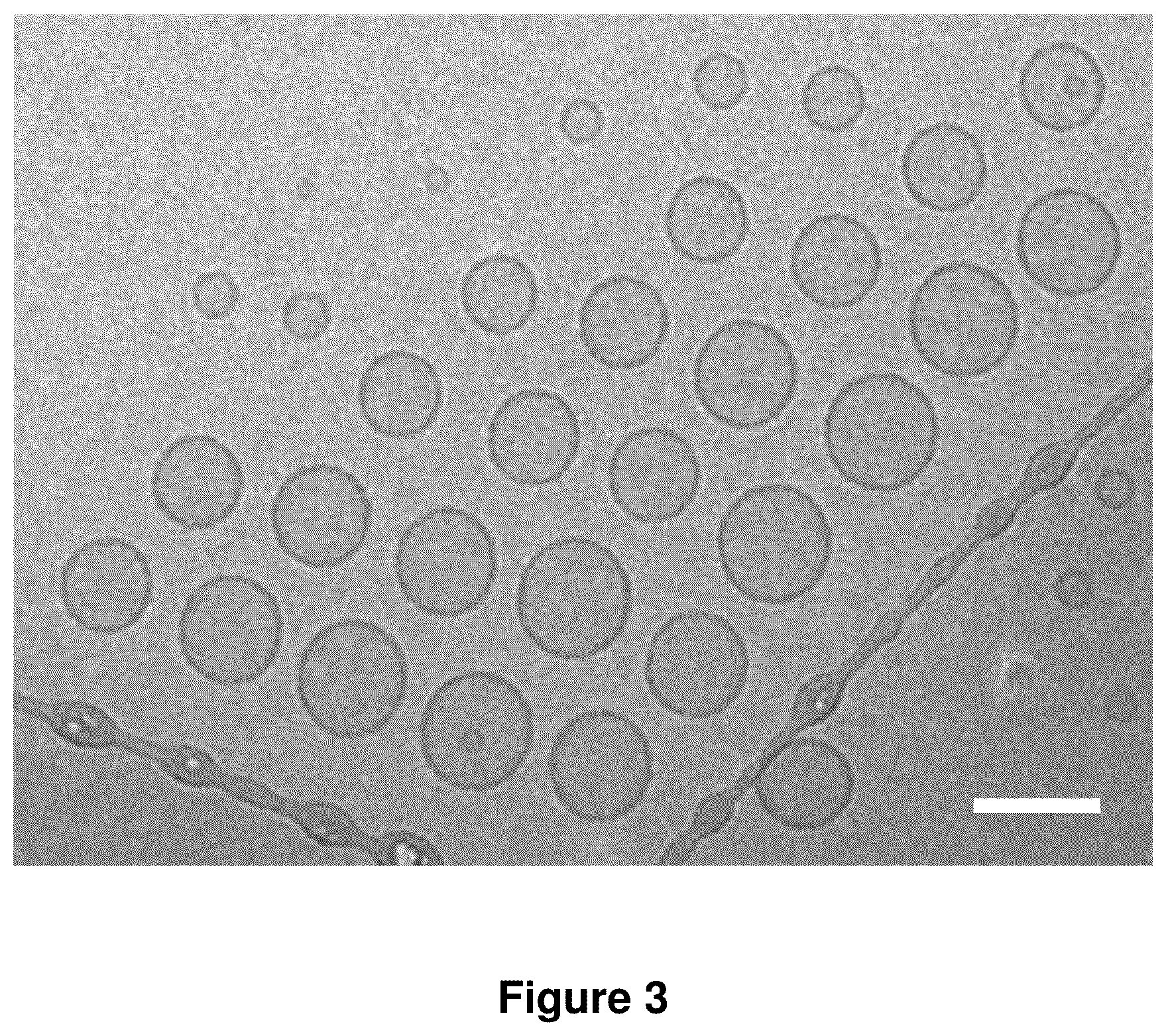 Patent US12378560 Figure 3 – Sequence multiplicity within spherical nucleic acids