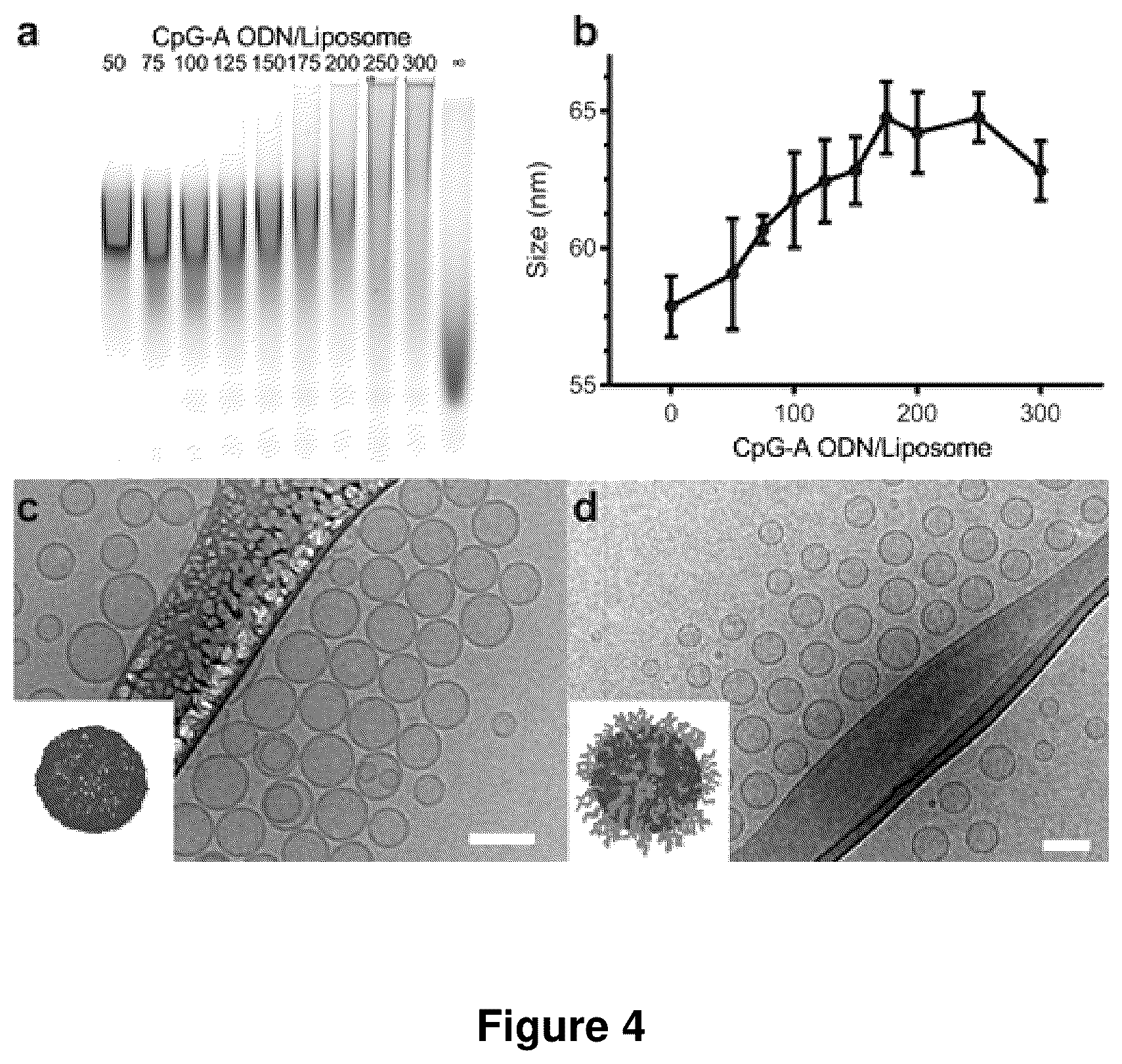 Patent US12378560 Figure 4 – Sequence multiplicity within spherical nucleic acids