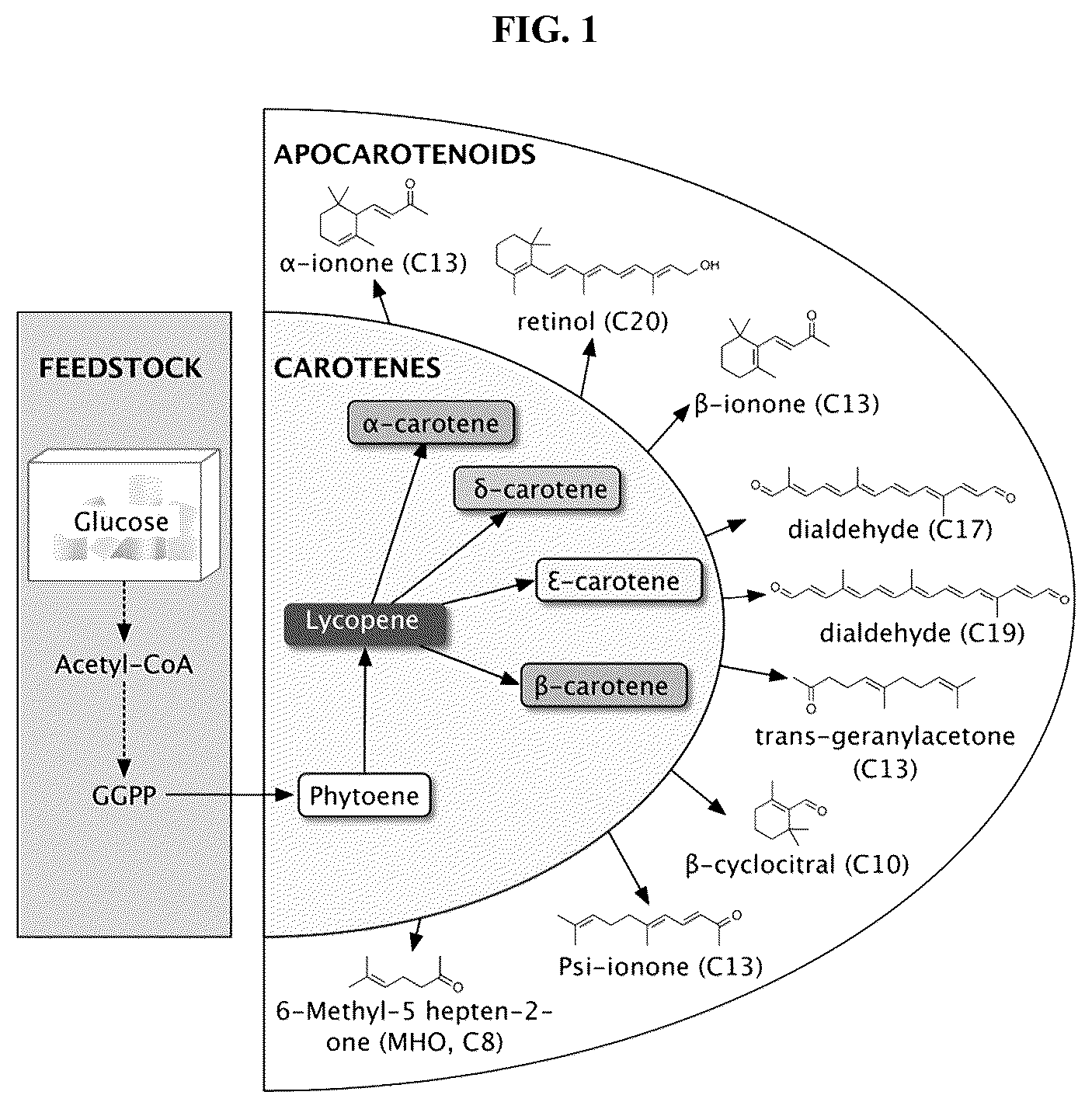 Patent US12378561 — Production of carotenoids and apocarotenoids — Figure 1