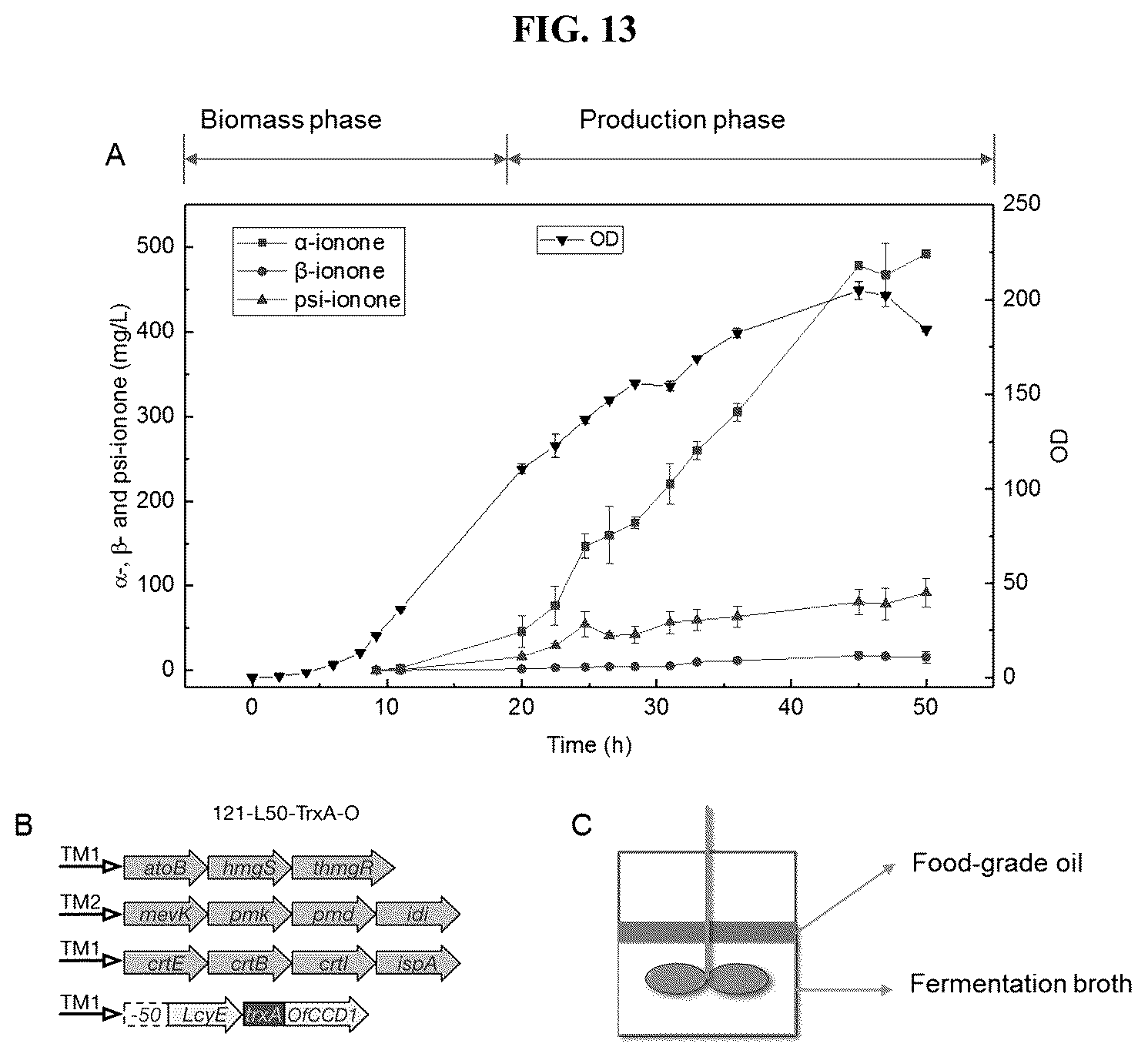 Patent US12378561 Figure 13 – Production of carotenoids and apocarotenoids