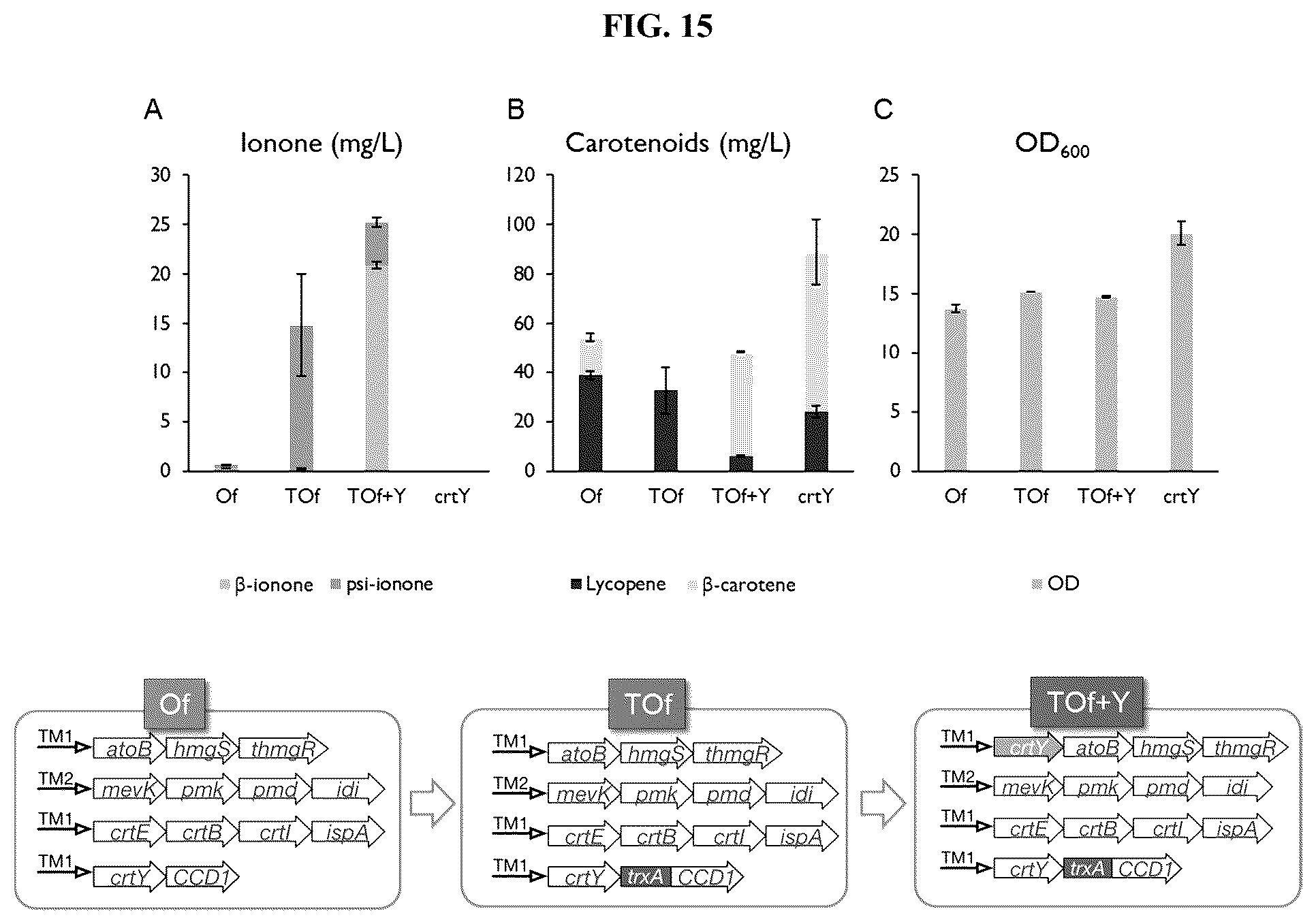 Patent US12378561 Figure 15 – Production of carotenoids and apocarotenoids