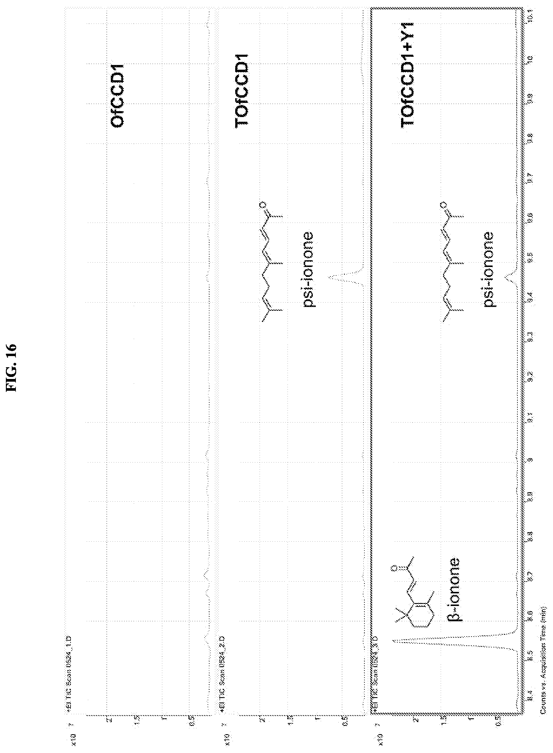 Patent US12378561 Figure 16 – Production of carotenoids and apocarotenoids