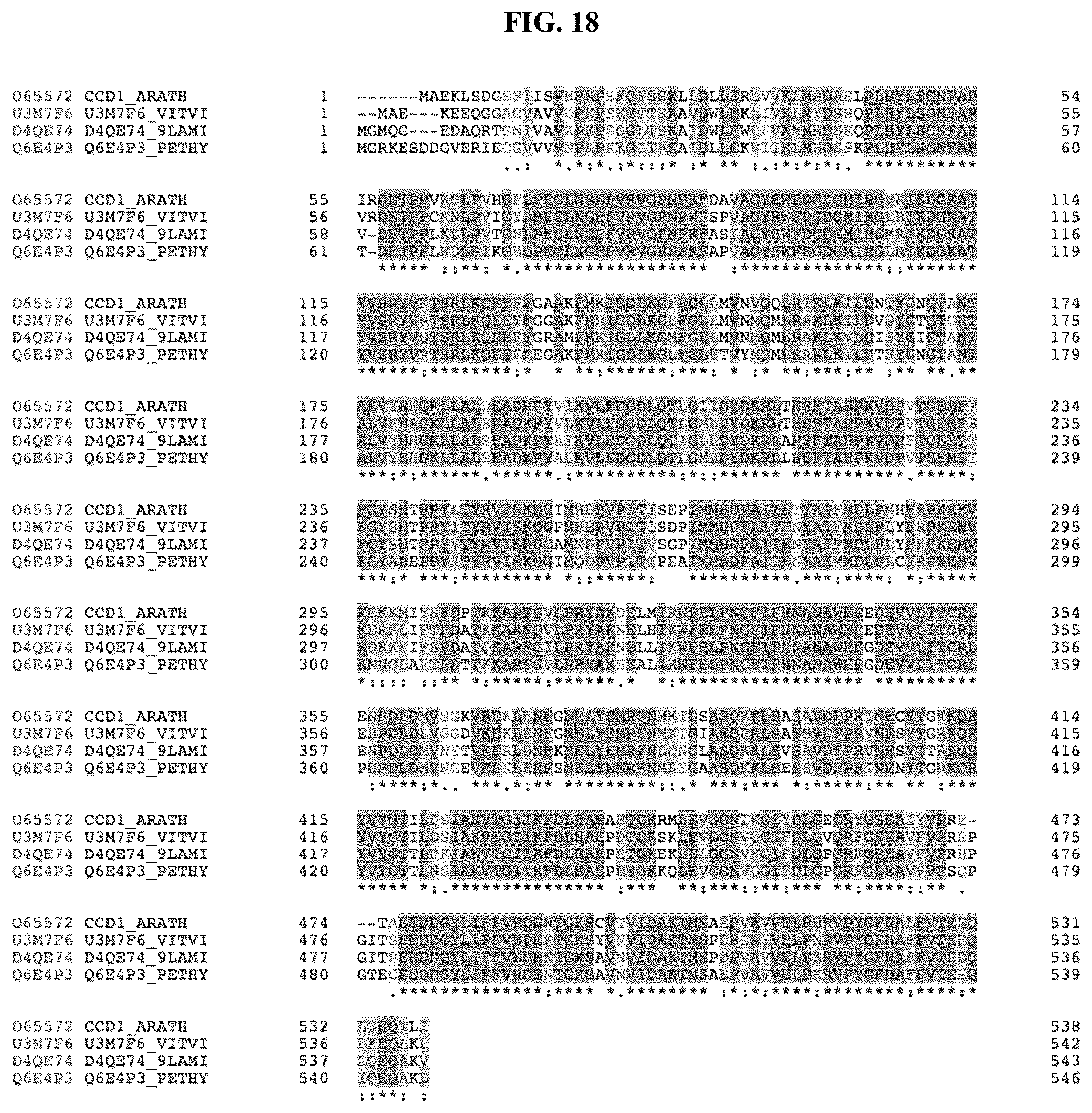 Patent US12378561 Figure 18 – Production of carotenoids and apocarotenoids