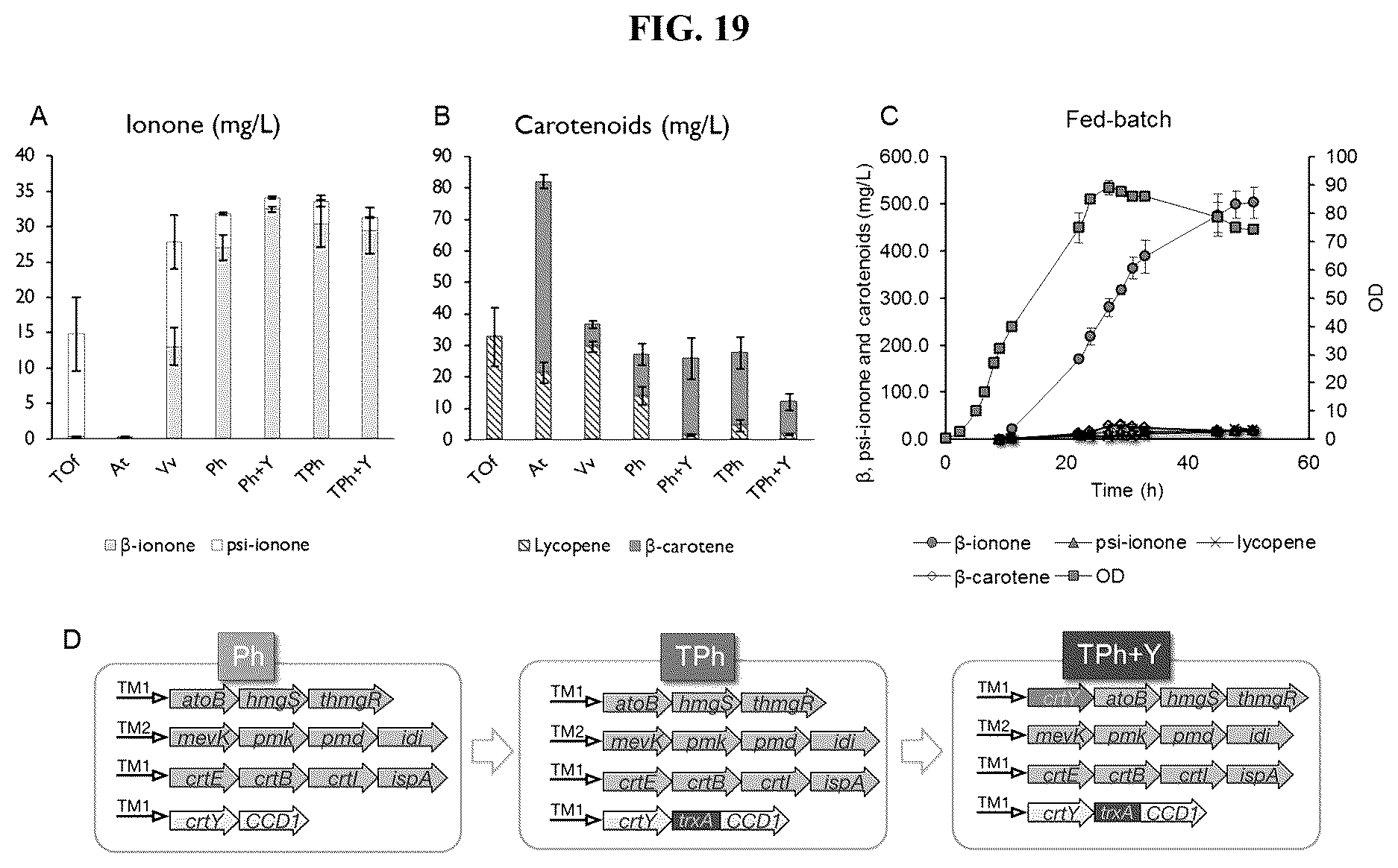 Patent US12378561 Figure 19 – Production of carotenoids and apocarotenoids