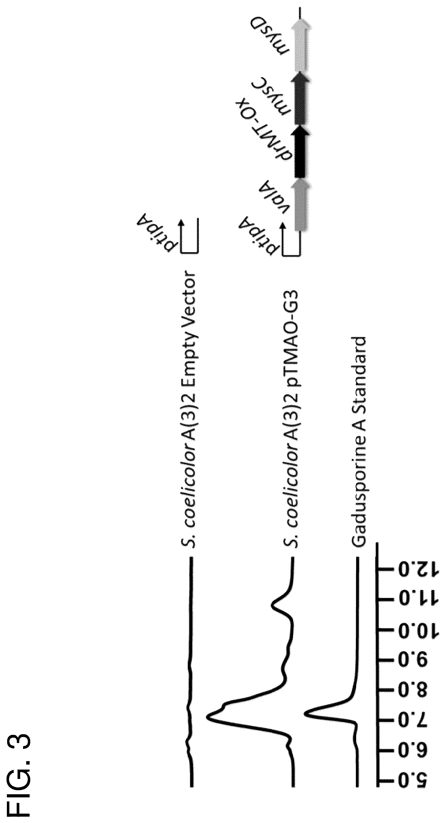 Patent US12378562 Figure 4 – Gadusol derivative production in bacteria