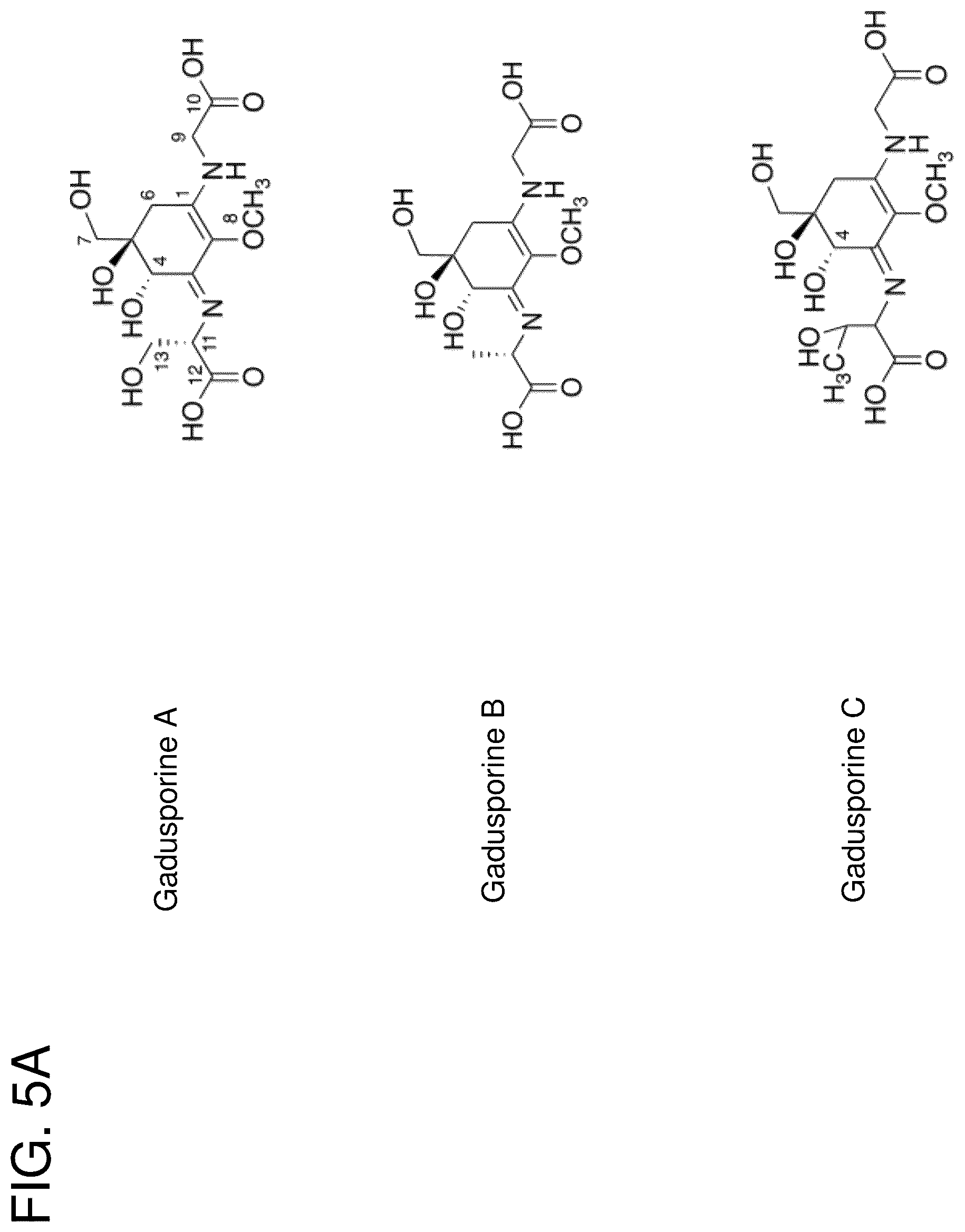 Patent US12378562 Figure 6 – Gadusol derivative production in bacteria