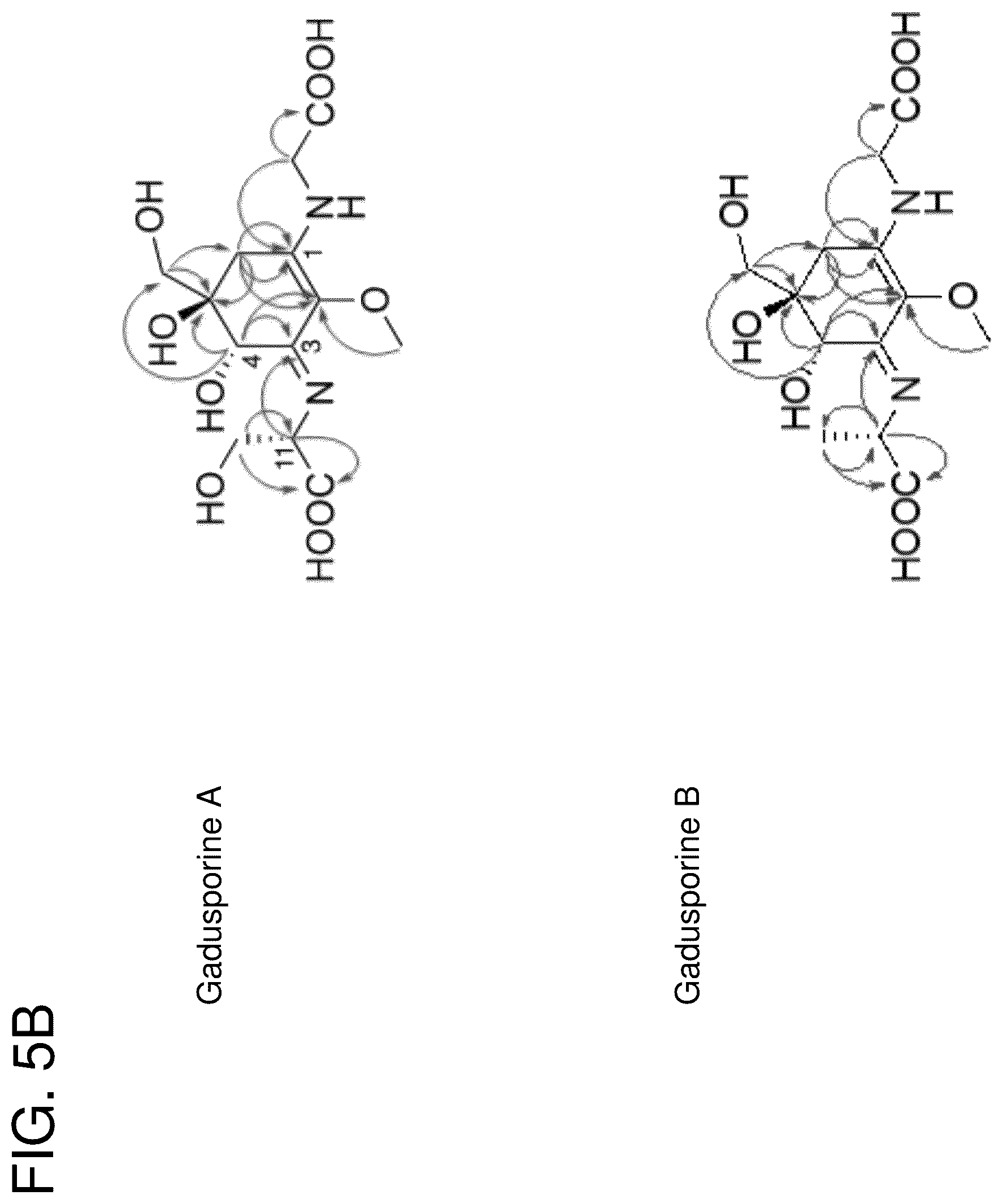 Patent US12378562 Figure 7 – Gadusol derivative production in bacteria