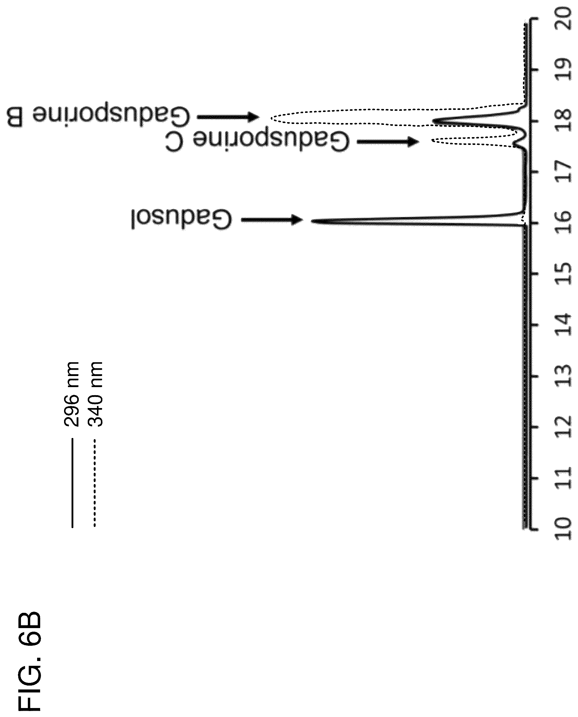 Patent US12378562 Figure 10 – Gadusol derivative production in bacteria