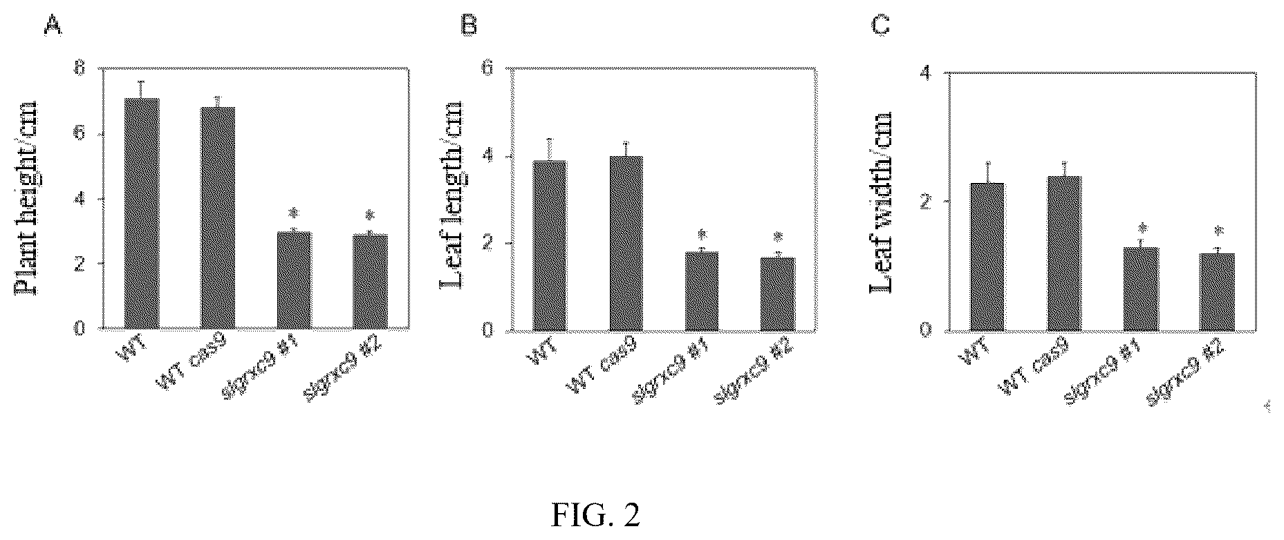 Patent US12378564 Figure 2 – Tomato glutaredoxin SIGRXC9 gene and its application