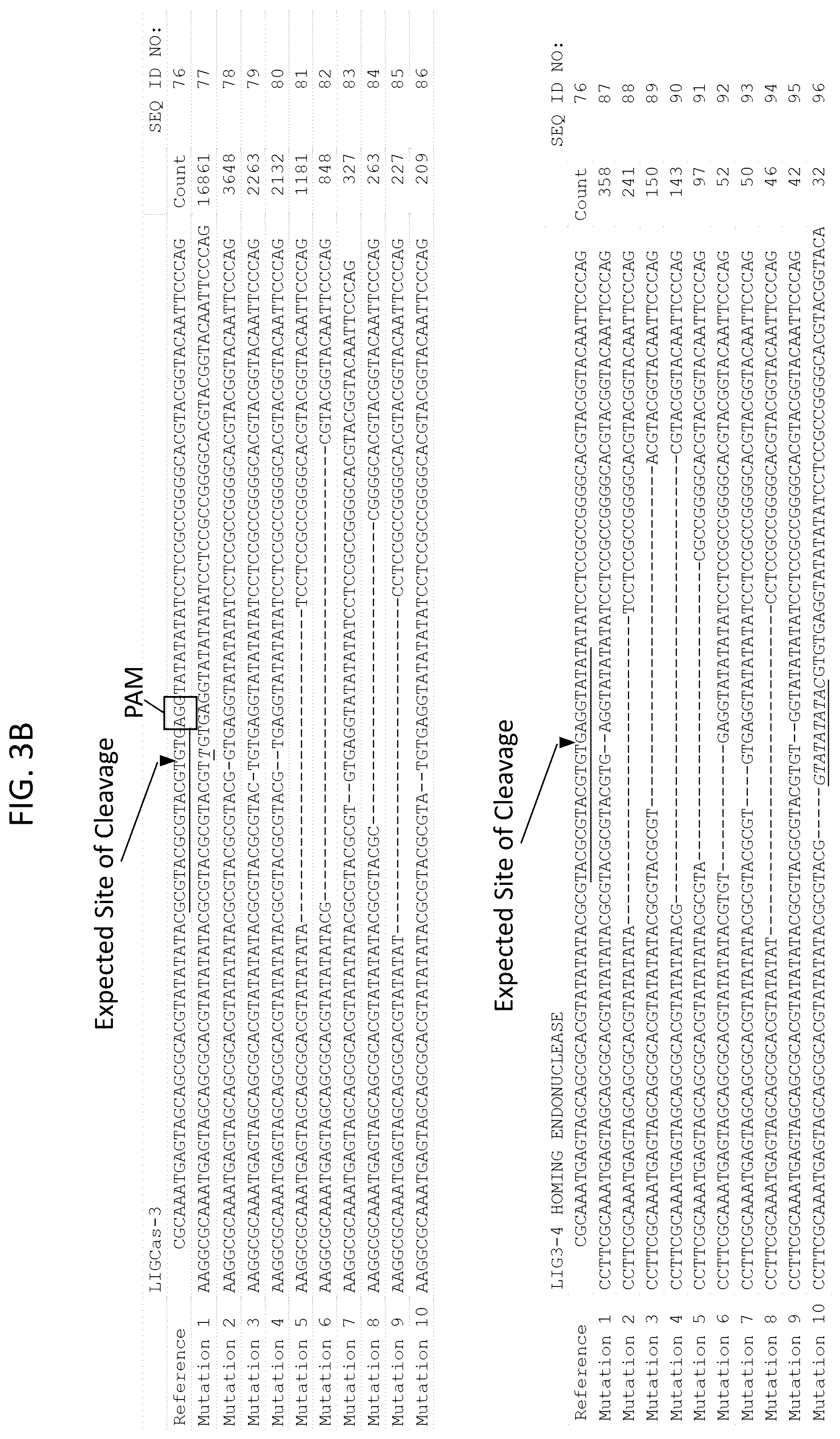 Patent US12378566 Figure 5 – Plant genome modification using guide RNA/Cas endonuclease systems and methods of use