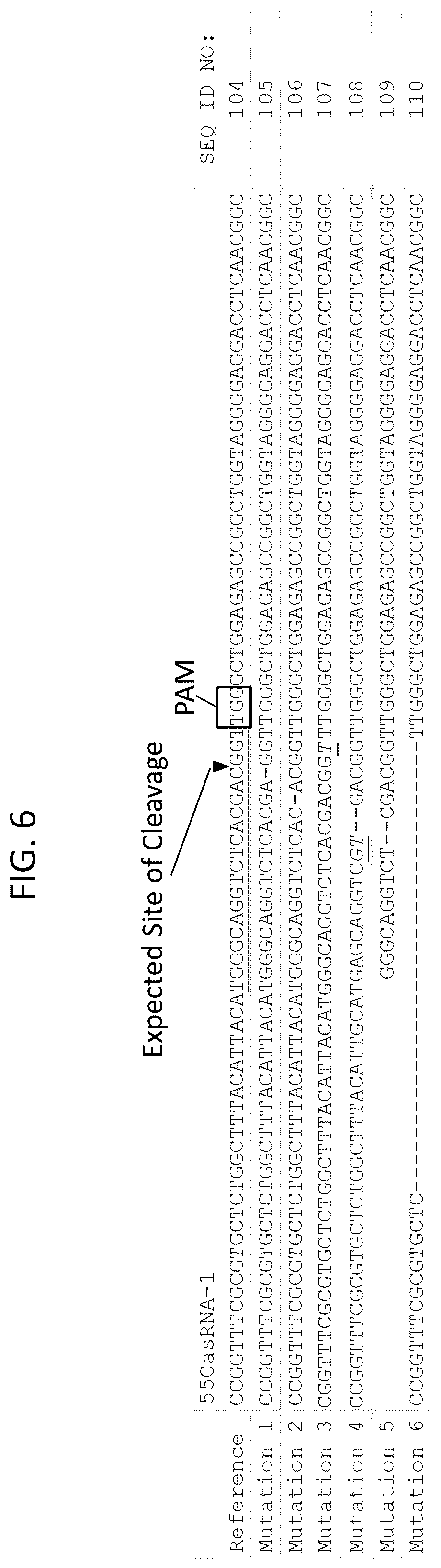 Patent US12378566 Figure 8 – Plant genome modification using guide RNA/Cas endonuclease systems and methods of use