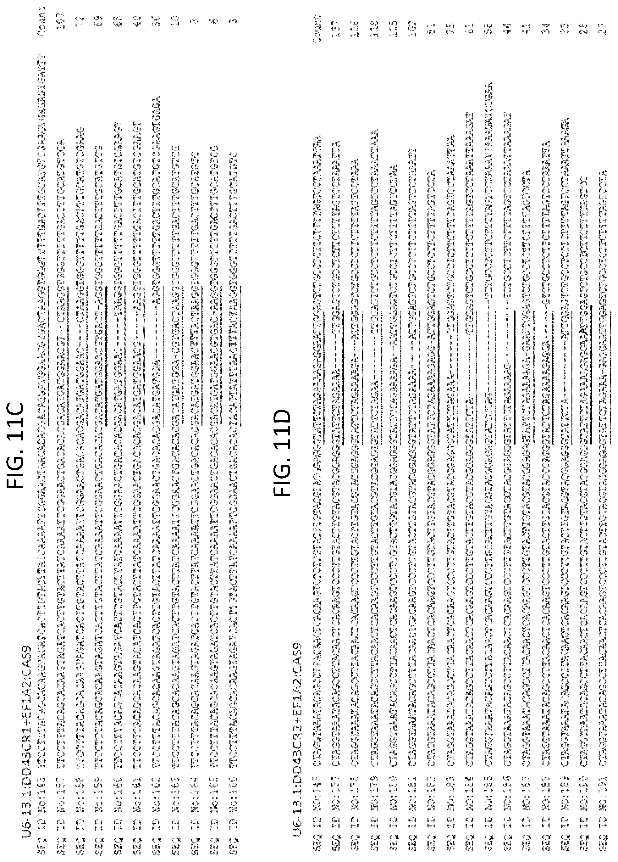 Patent US12378566 Figure 14 – Plant genome modification using guide RNA/Cas endonuclease systems and methods of use