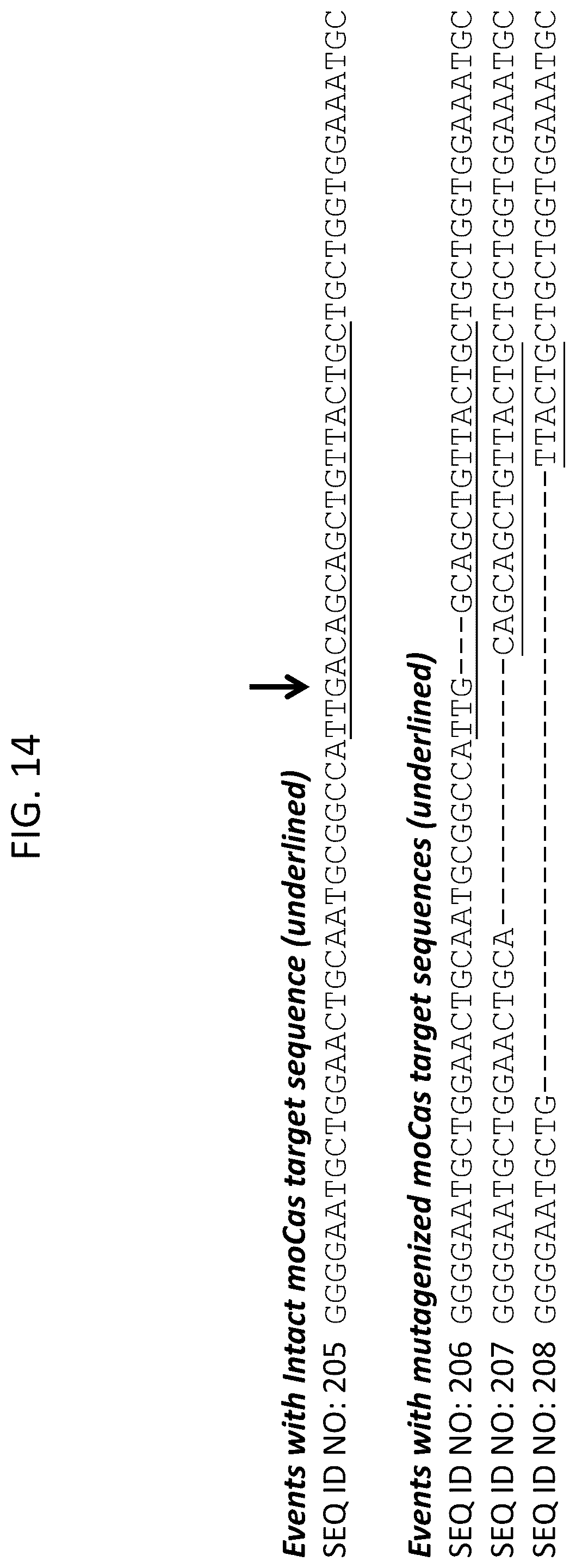 Patent US12378566 Figure 17 – Plant genome modification using guide RNA/Cas endonuclease systems and methods of use