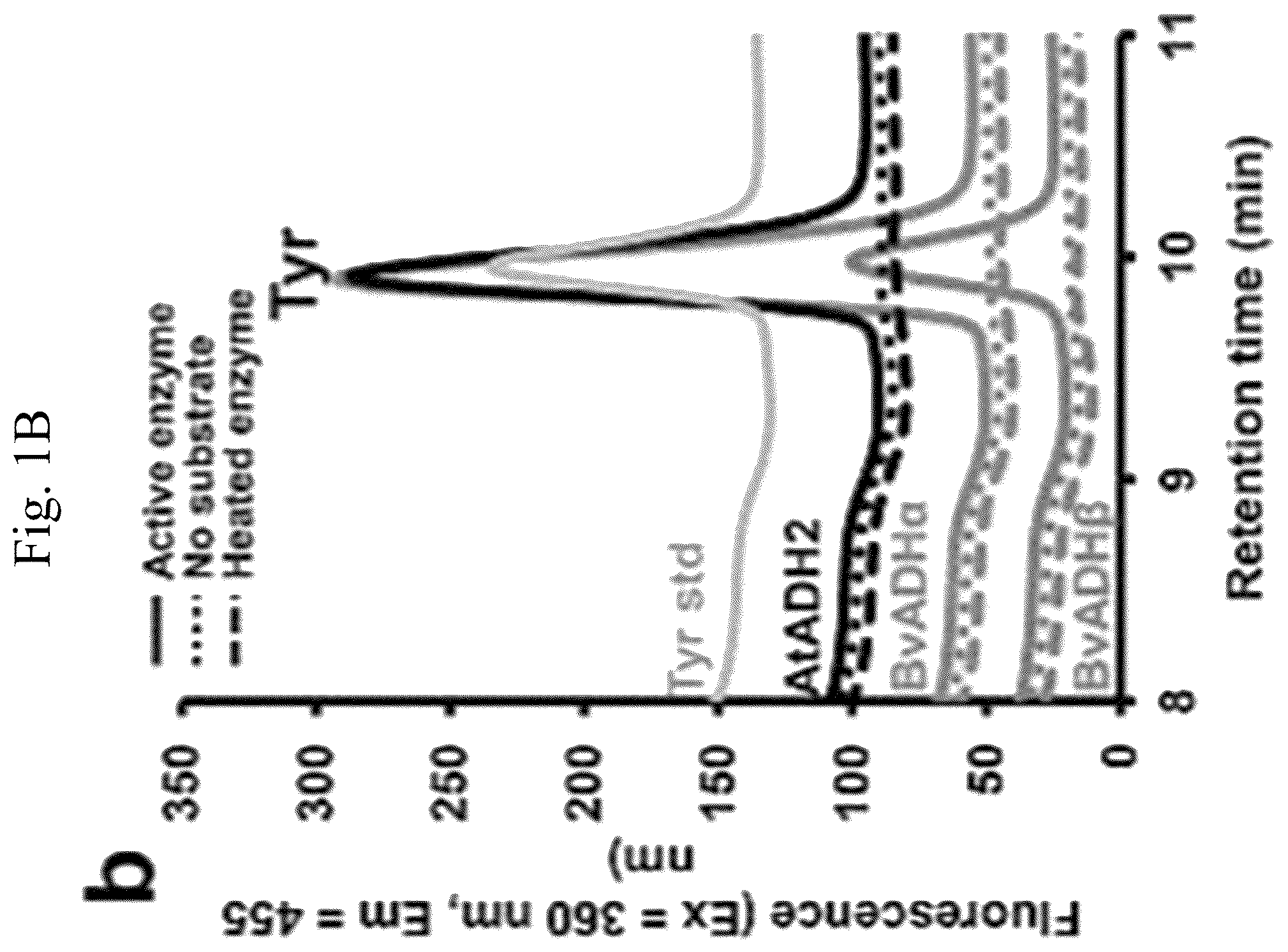 Patent US12378567 Figure 2 – Arogenate dehydrogenase polynucleotides, polypeptides and methods of using the same