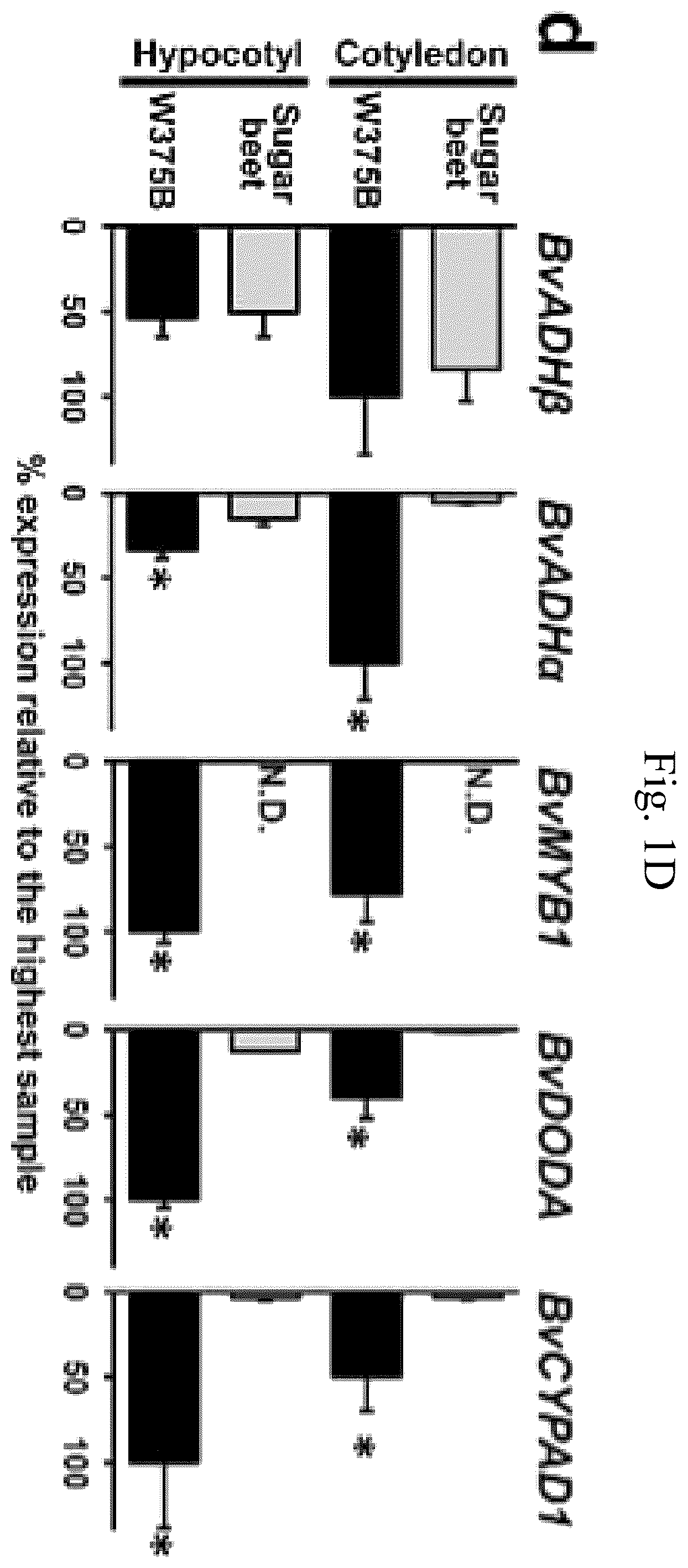 Patent US12378567 Figure 4 – Arogenate dehydrogenase polynucleotides, polypeptides and methods of using the same