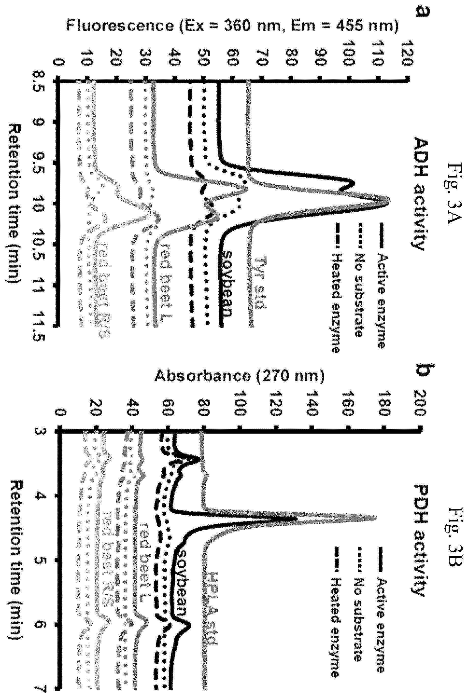 Patent US12378567 Figure 6 – Arogenate dehydrogenase polynucleotides, polypeptides and methods of using the same