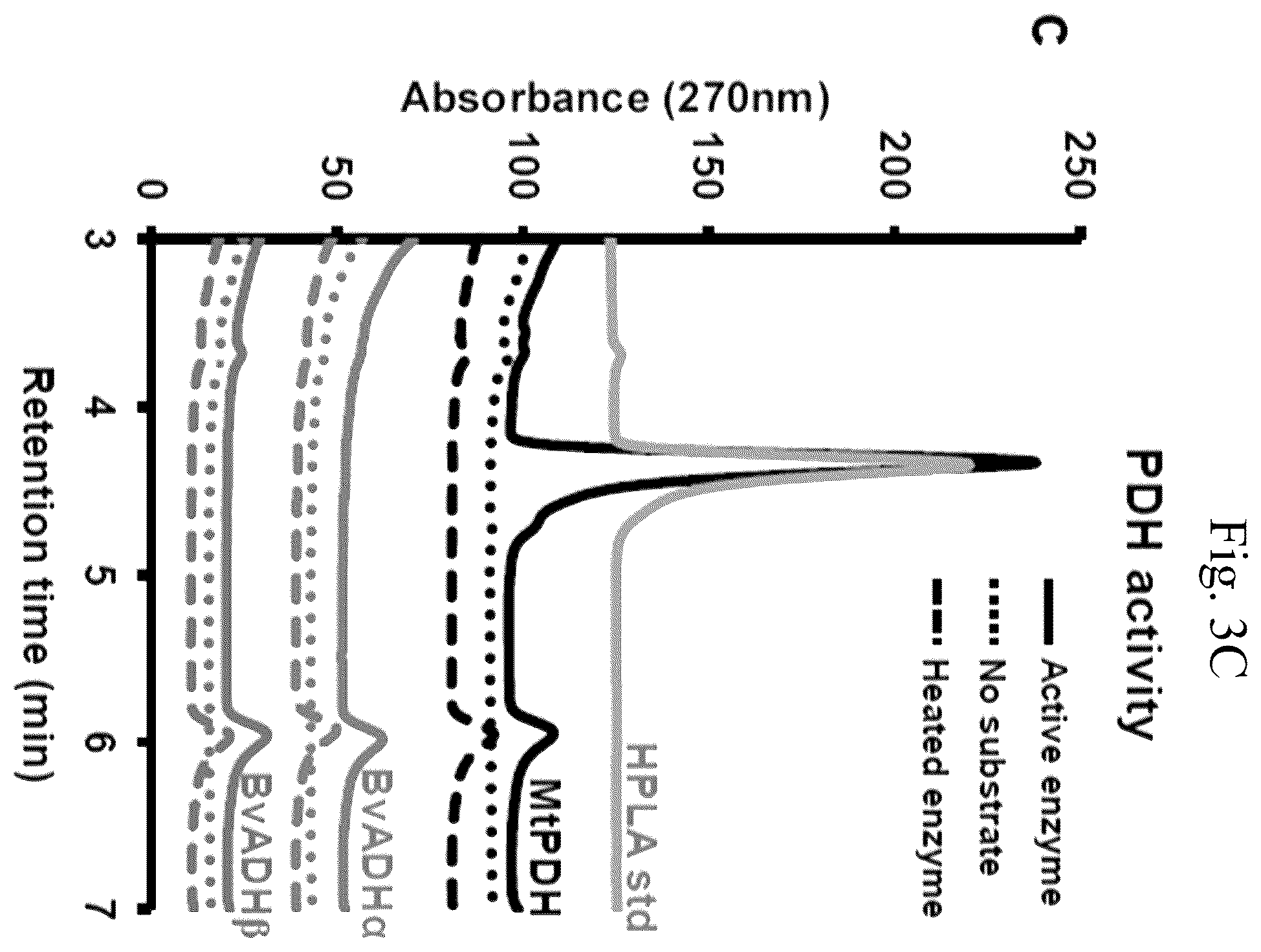 Patent US12378567 Figure 7 – Arogenate dehydrogenase polynucleotides, polypeptides and methods of using the same