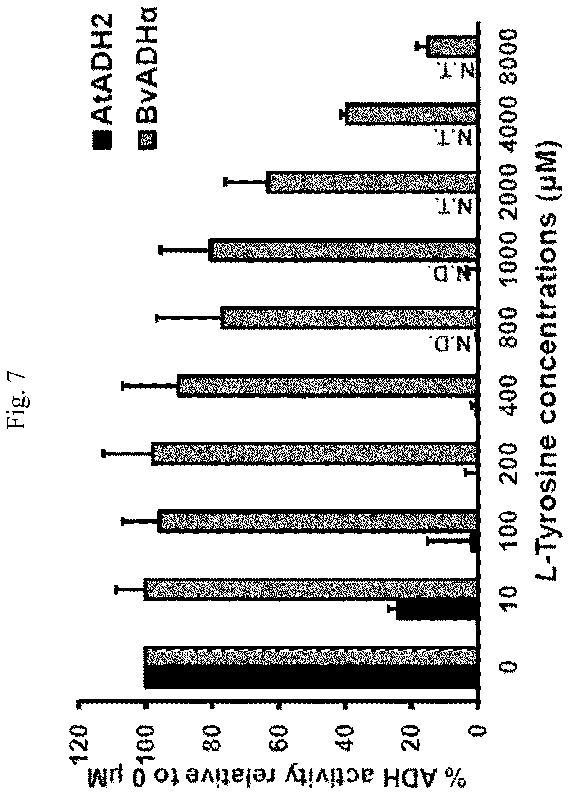 Patent US12378567 Figure 20 – Arogenate dehydrogenase polynucleotides, polypeptides and methods of using the same