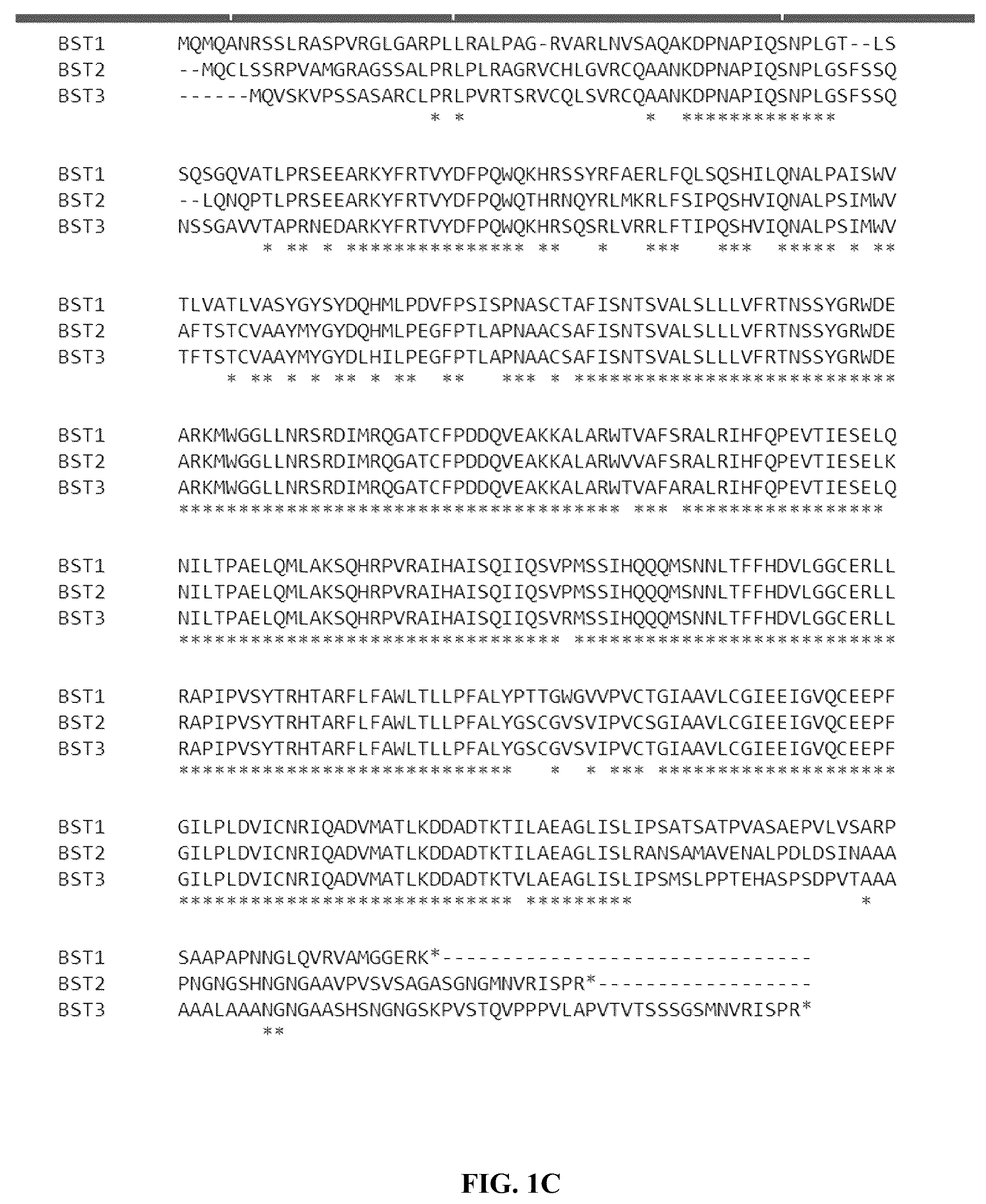 Patent US12378568 Figure 3 – Green algal bestrophin bicarbonate transporters