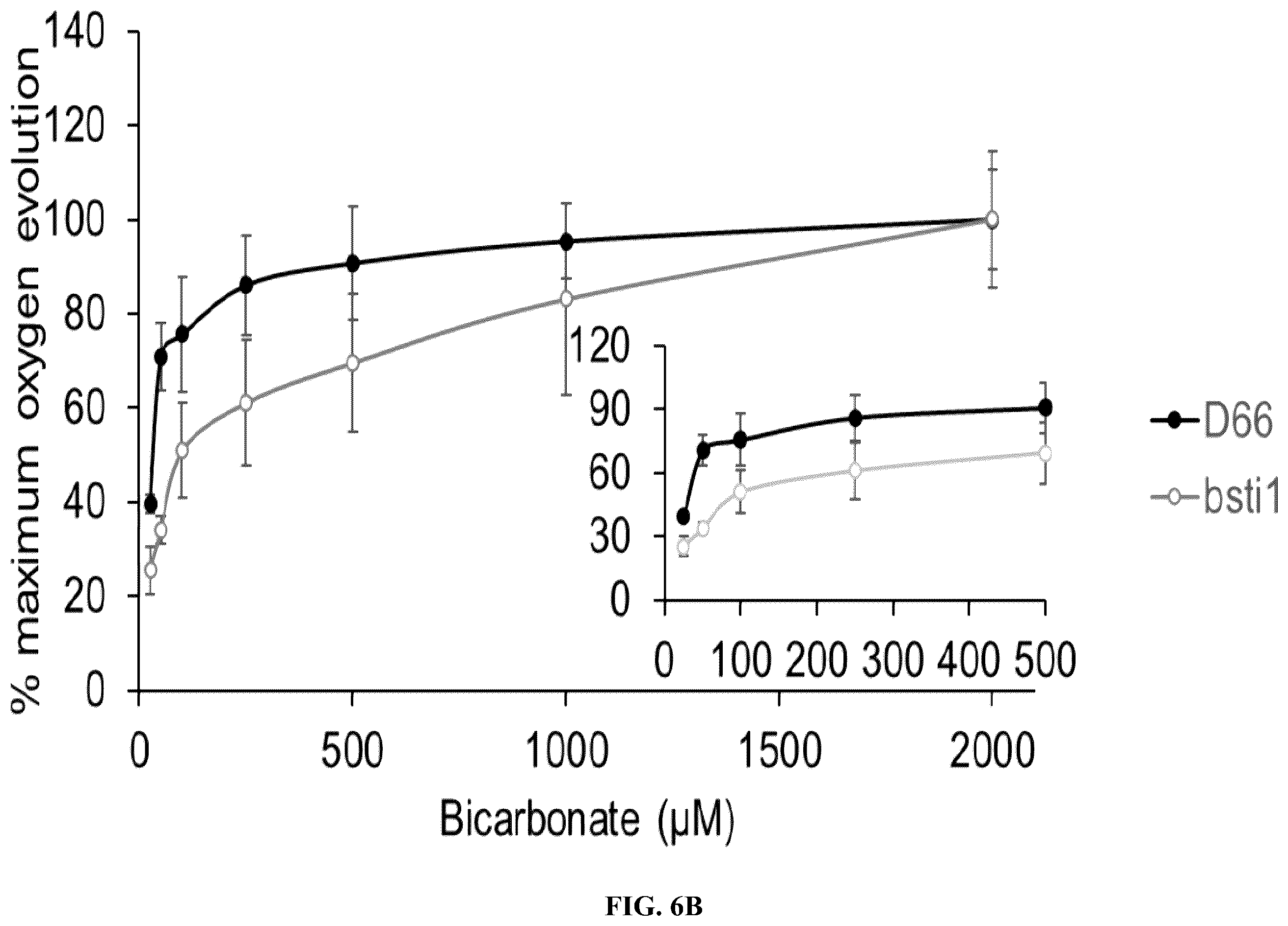 Patent US12378568 Figure 13 – Green algal bestrophin bicarbonate transporters
